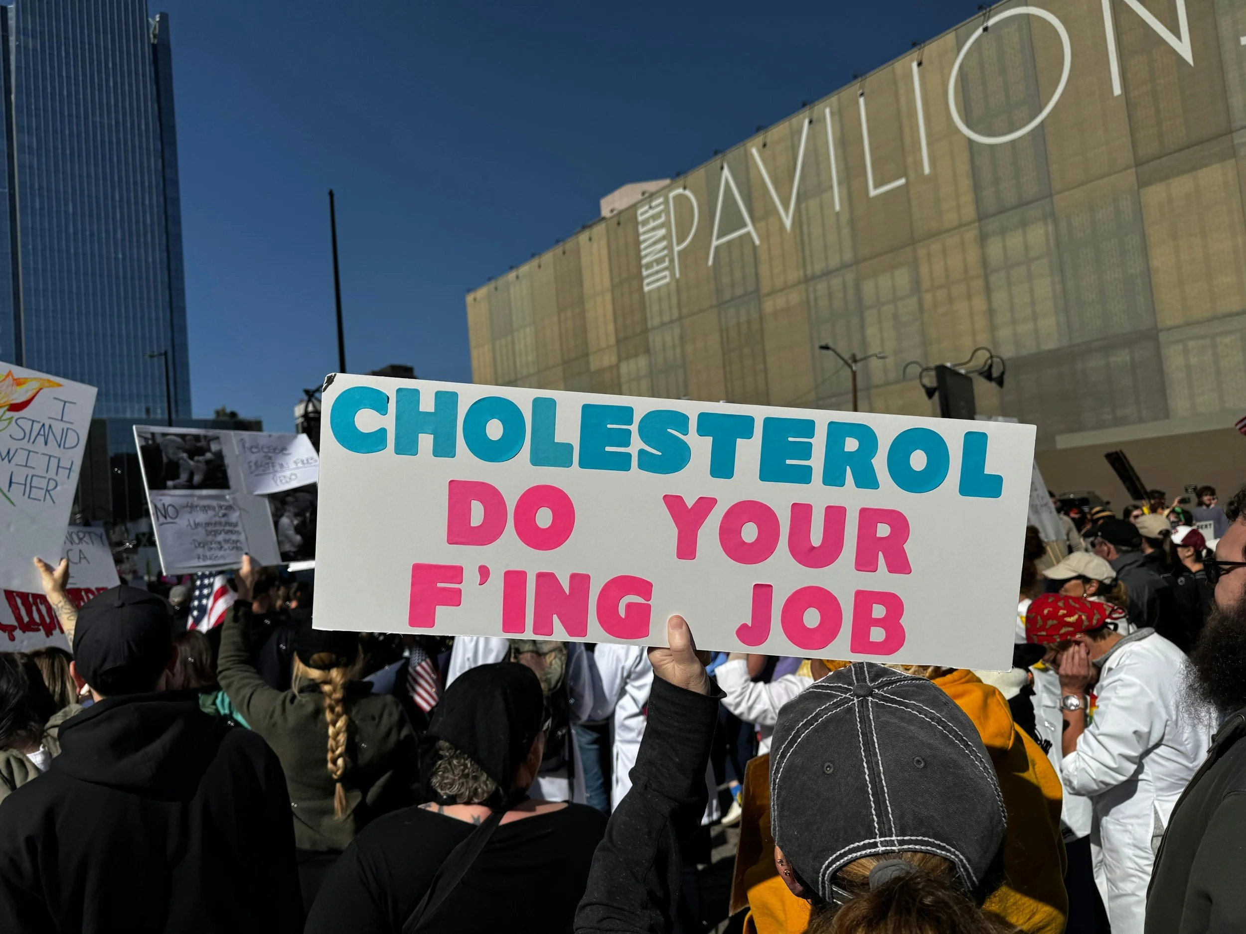 What is the deal with Cholesterol?