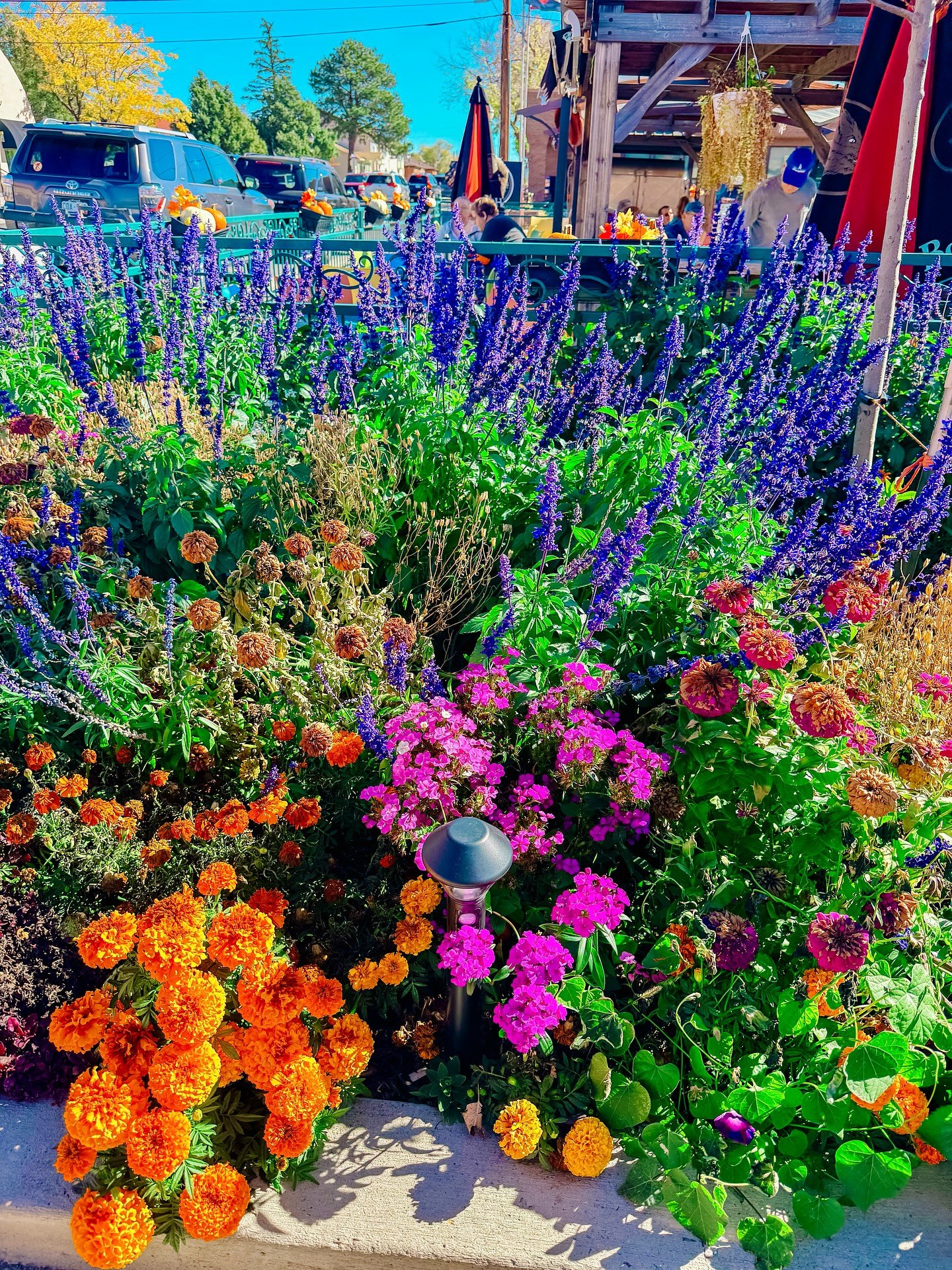 Yesterday’s picnic and hike was so beautiful ☀️