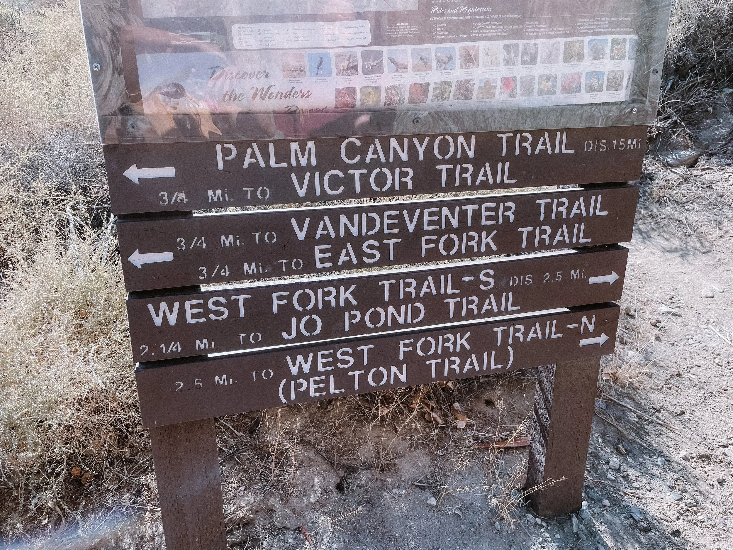 Hikes In Palm Springs — One Tent In California