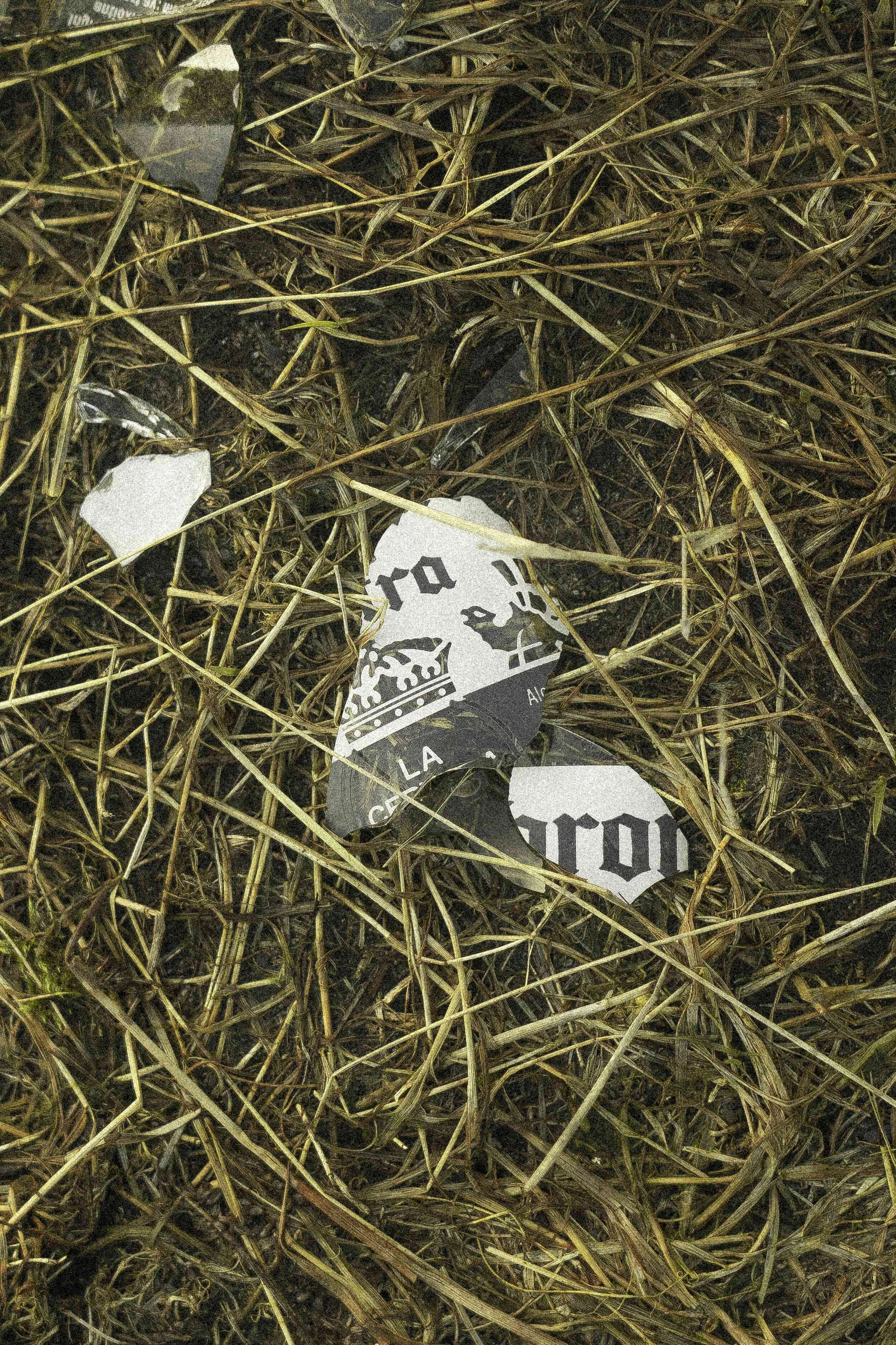 Amalie K. Christophersen - Hvaler