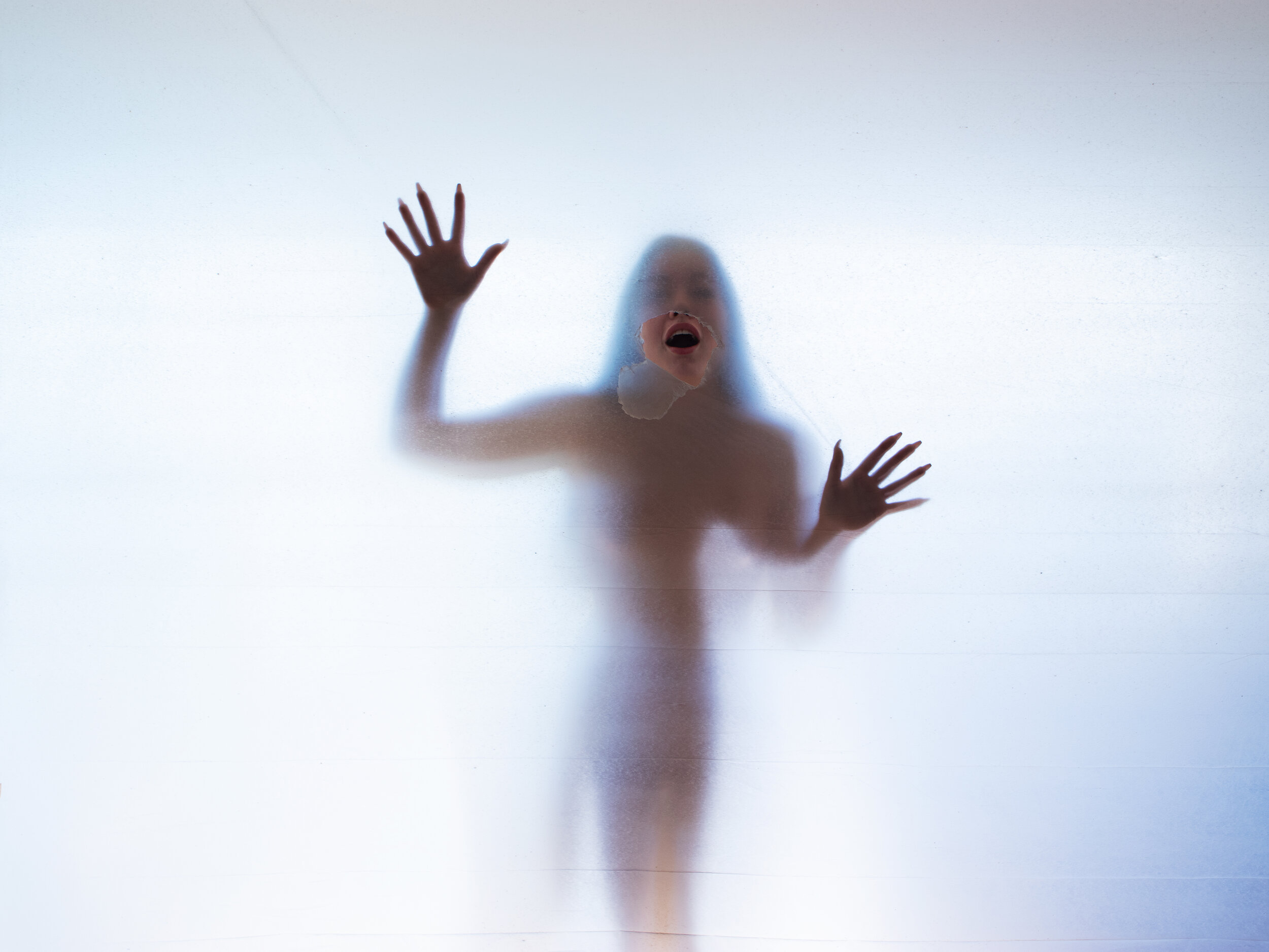 Olav Nikolai Pettersen - Bergen