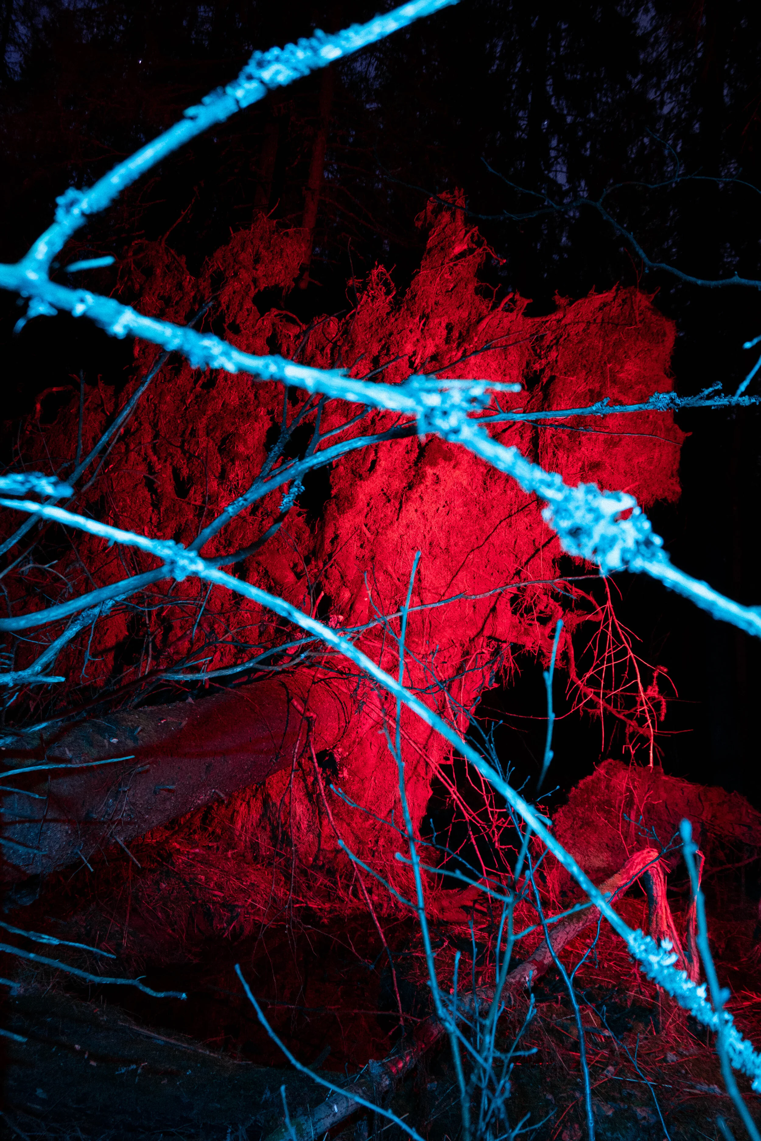 Kristian Trana - Oslo