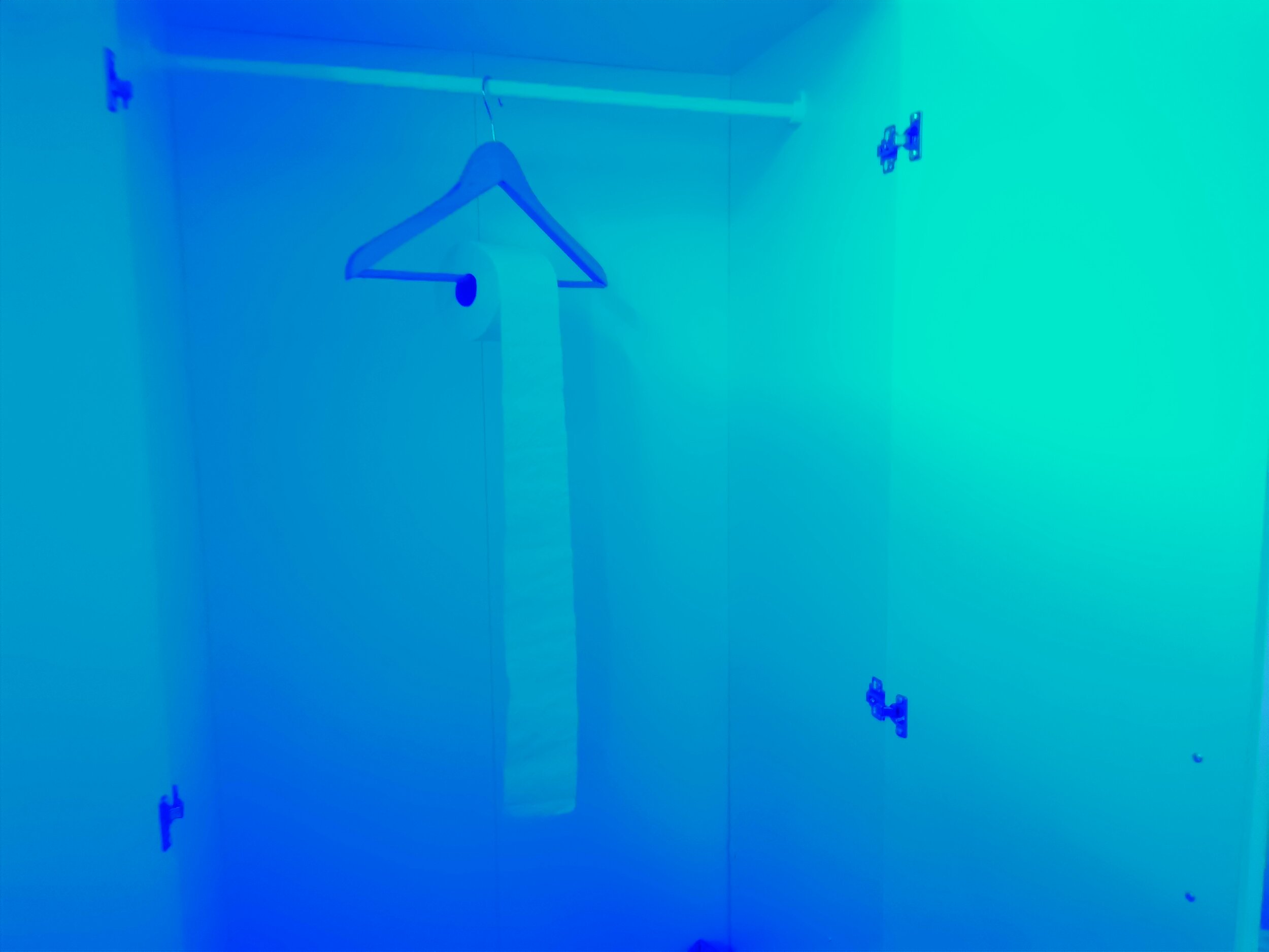 Irmelin Johnsen Drangsholt