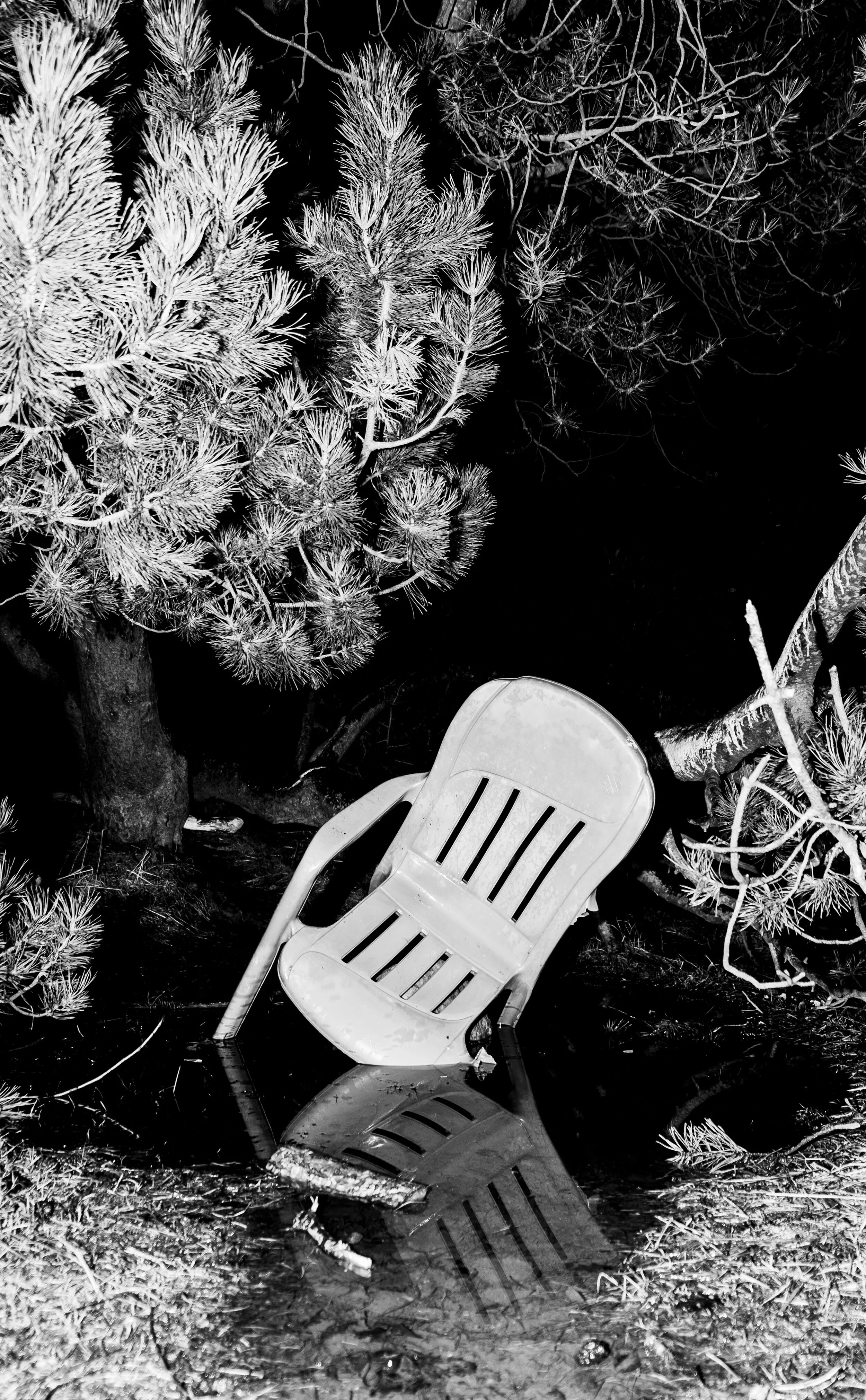 Lasse Amundsen - Trondheim