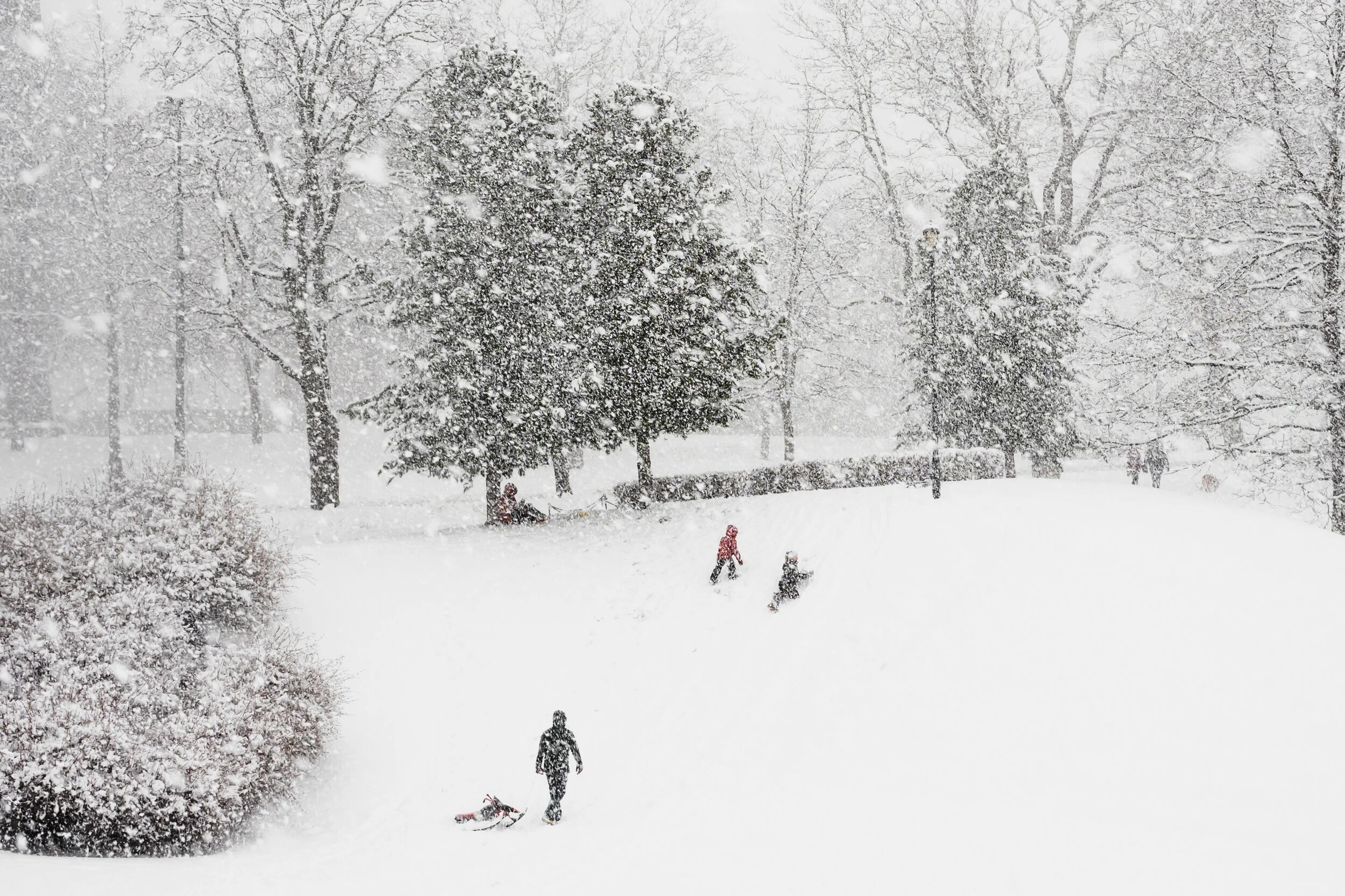 Torstein Eriksen - snødag - Trondheim
