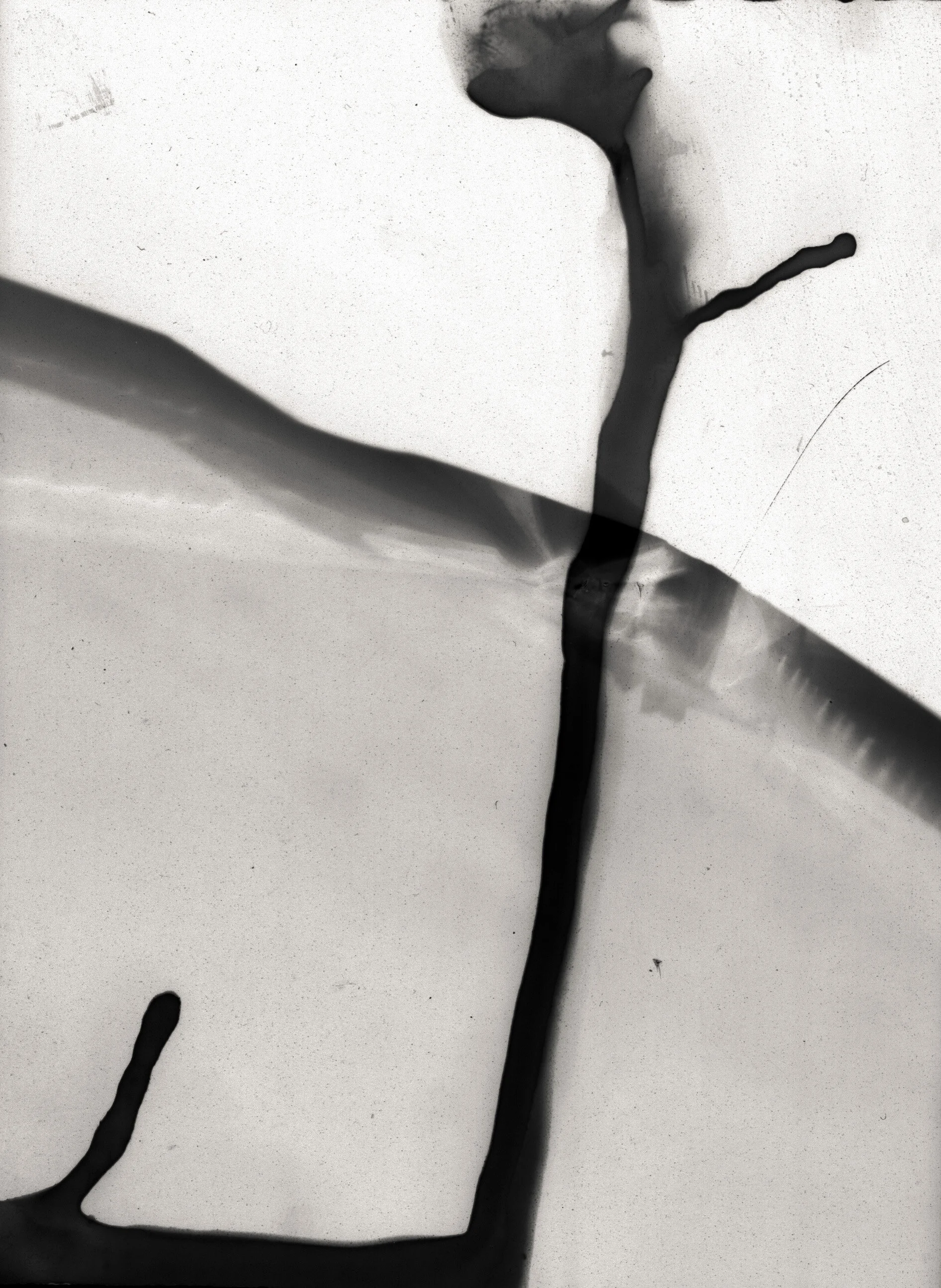 Kristian Trana - Oslo