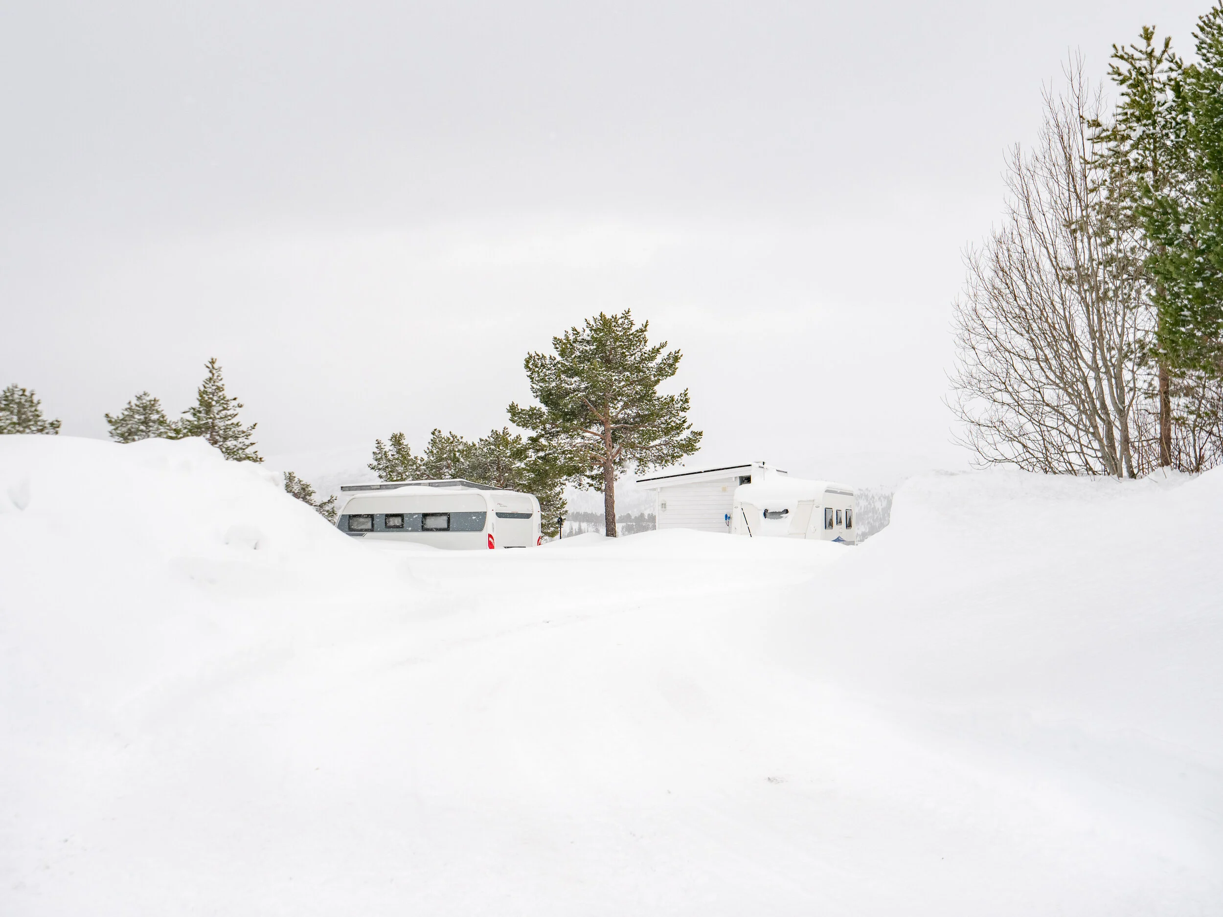 Jonas Fagereng Jacobsen - Fannrem