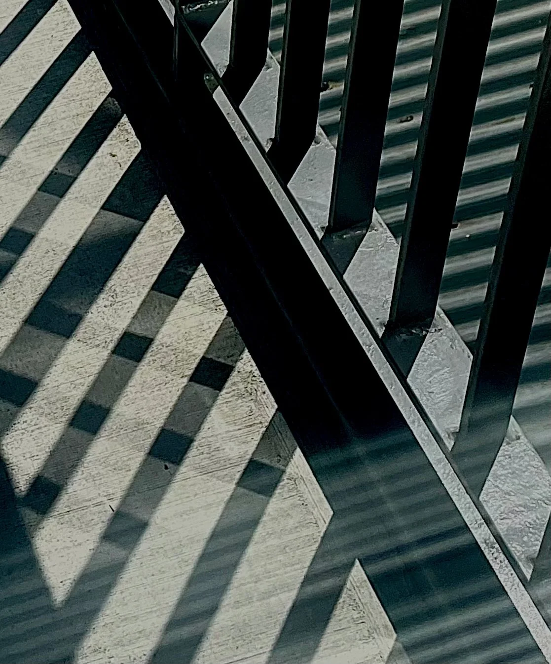 SHADOW PLAY © 2024 E. CHAVEZ