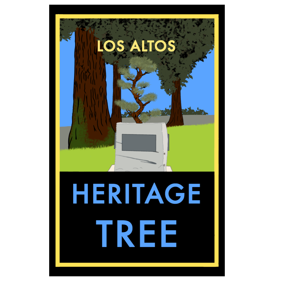 Posters - Square Layouts for Store  (1).png