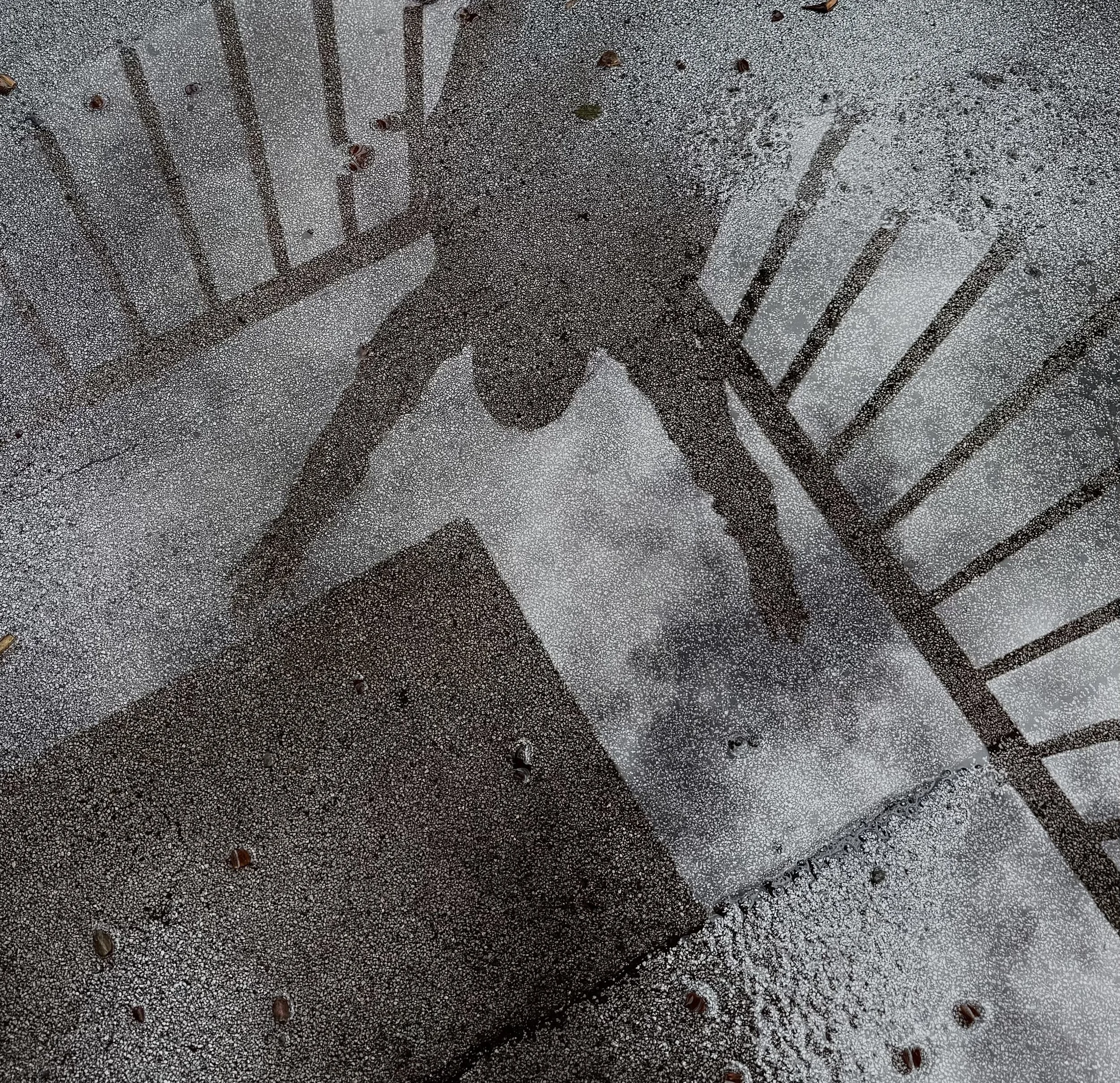 I HAVE A LITTLE SHADOW  © 2025 G. VIRRUETA