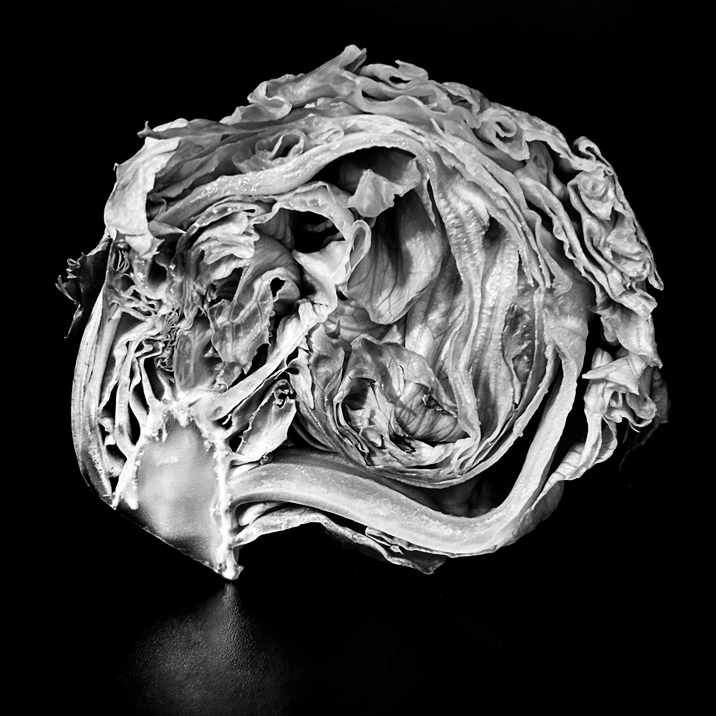 UNTITLED © 2025 Josheline Lara