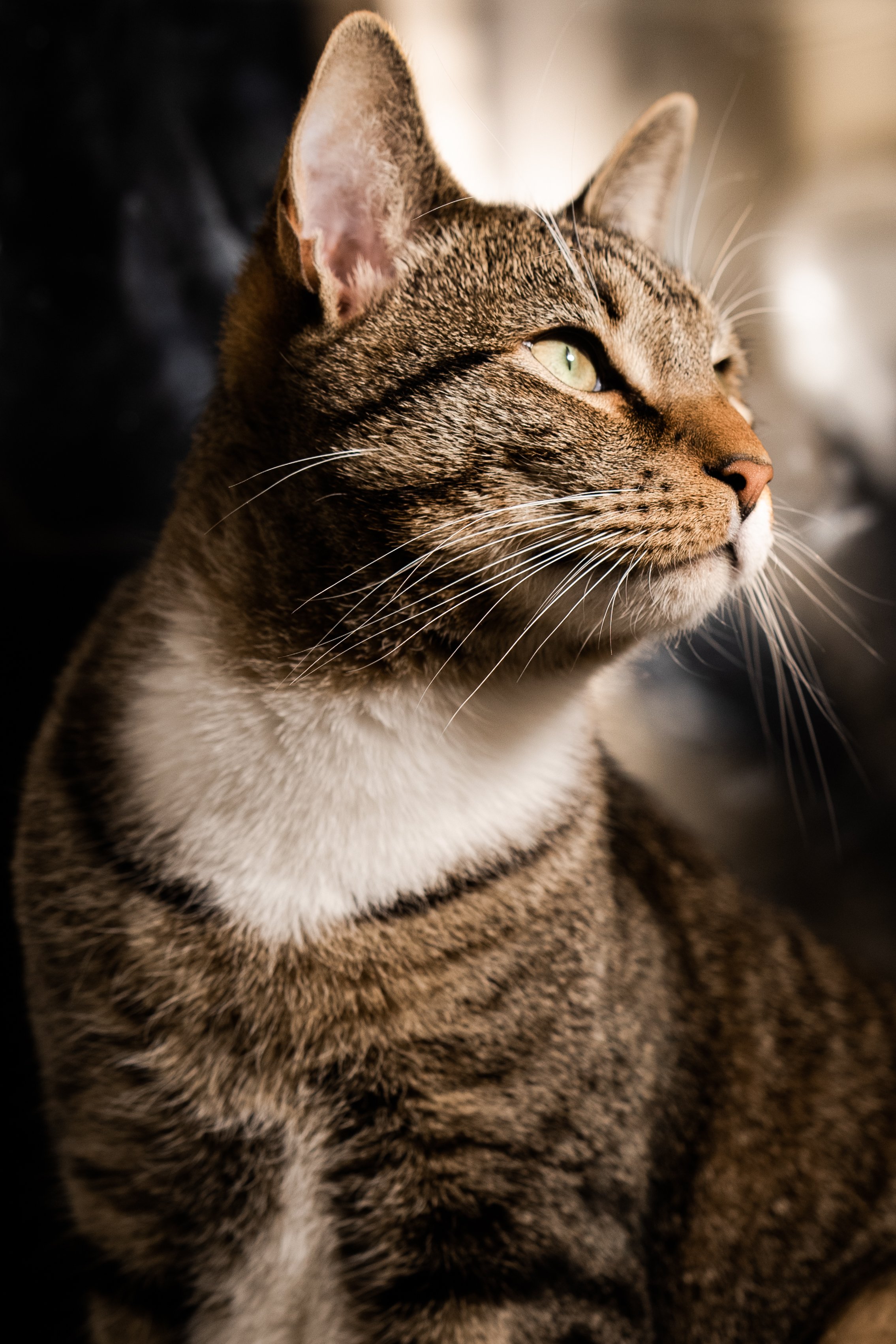 DSC05521-2.jpg