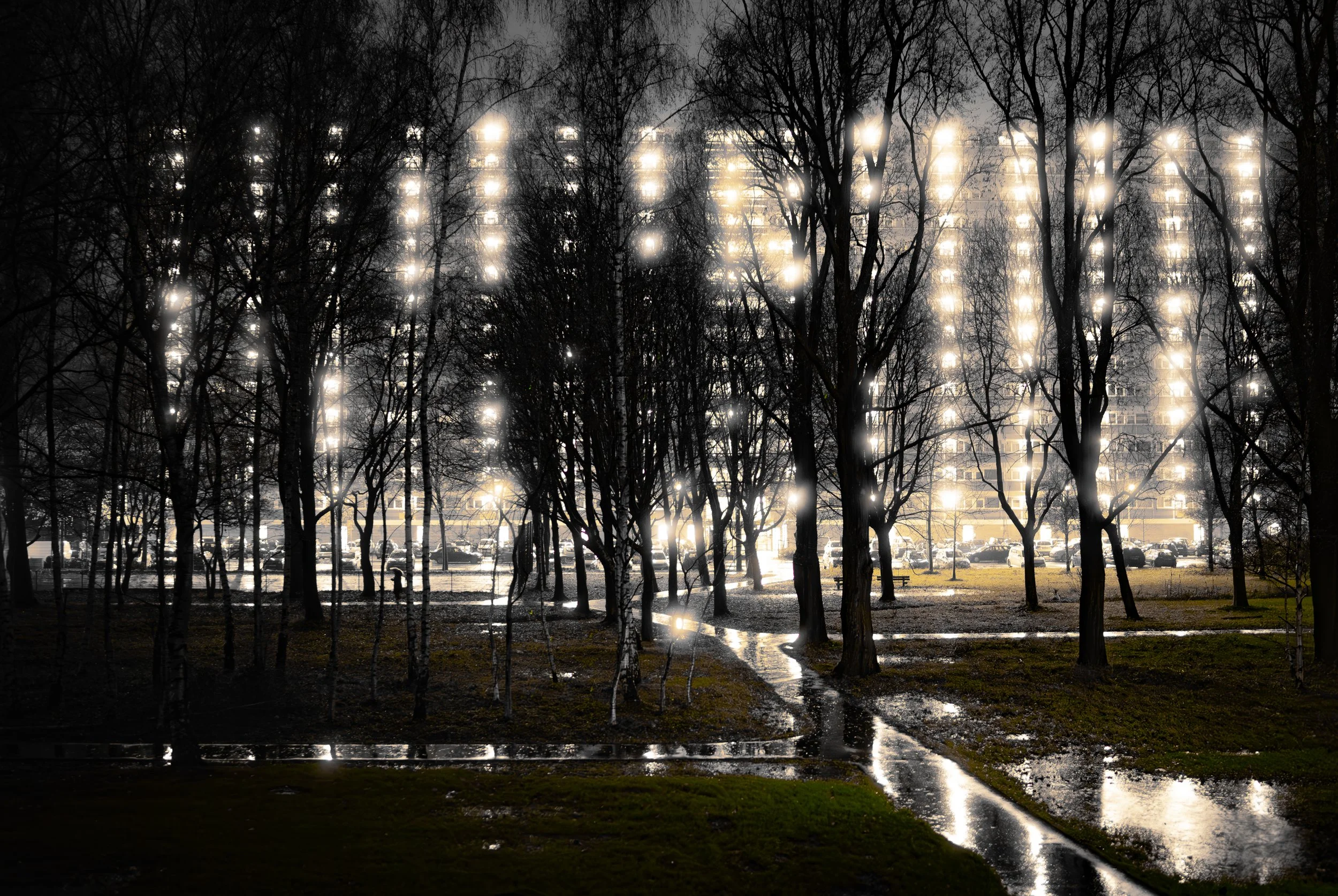 Night scene of a park with leafless trees and wet paths, illuminated by bright lights reflecting off the wet ground, with apartment buildings visible in the background.