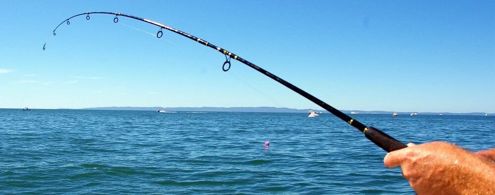 Sport fishing, Bay of Island, New Zealand