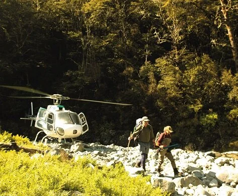 Booking a Fly Fishing Trip to New Zealand