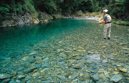 What’s Happening in Aotearoa New Zealand Right Now?