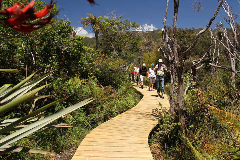 resurgence - totaranui hiking.jpg