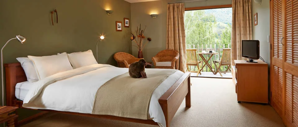 Resurgence superior.jpg