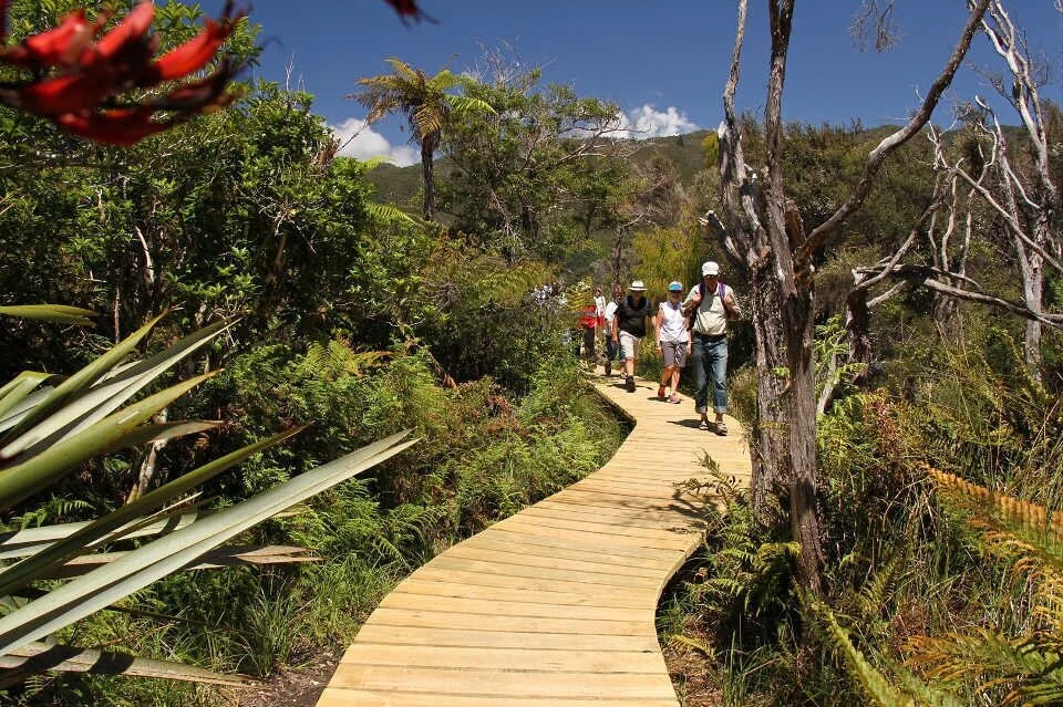 resurgence+-+totaranui+hiking.jpg