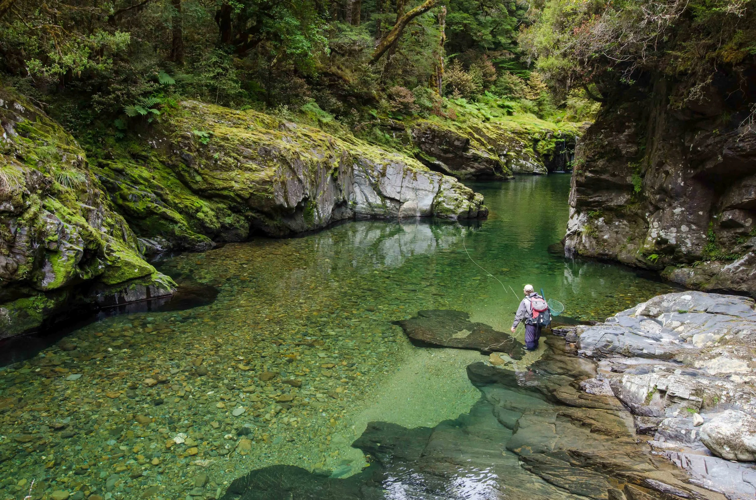 Fly Fishing, Stonefly Lodge