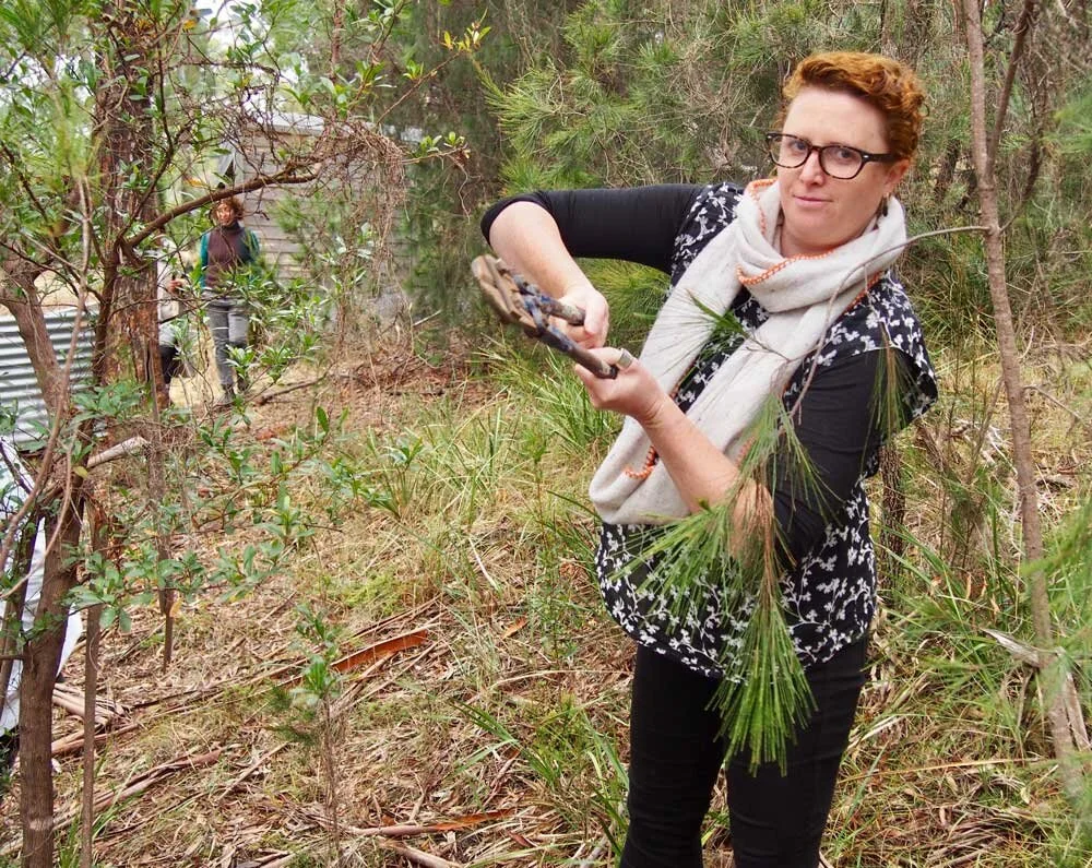 Creative activist gathering