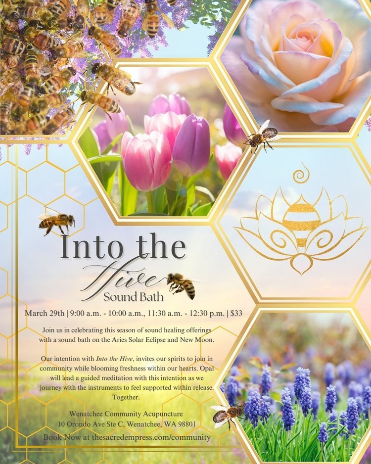 Into the Hive Sound Healing with Opal Hopkins - The Sacred Empress