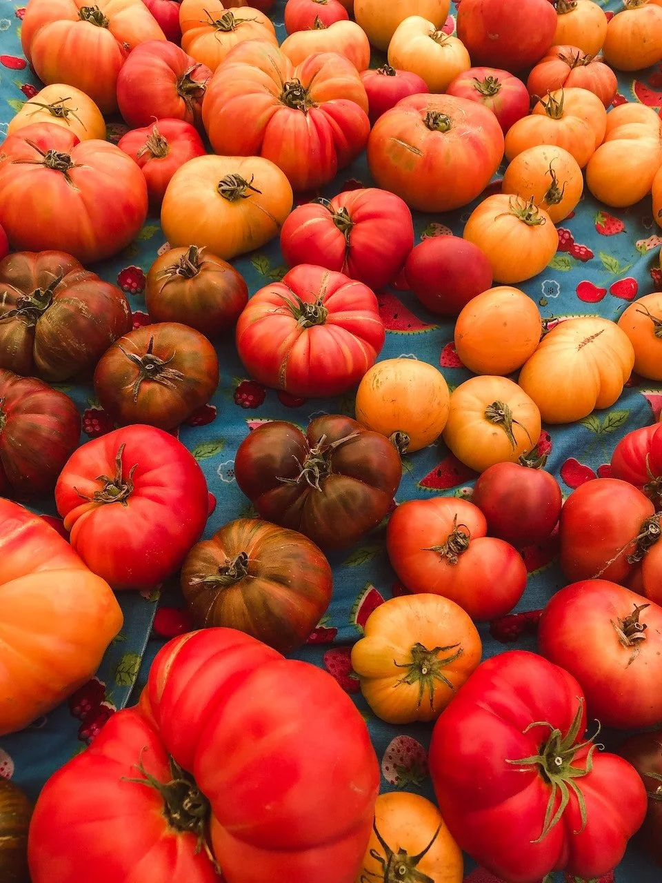 Tomatoes - Don's Produce