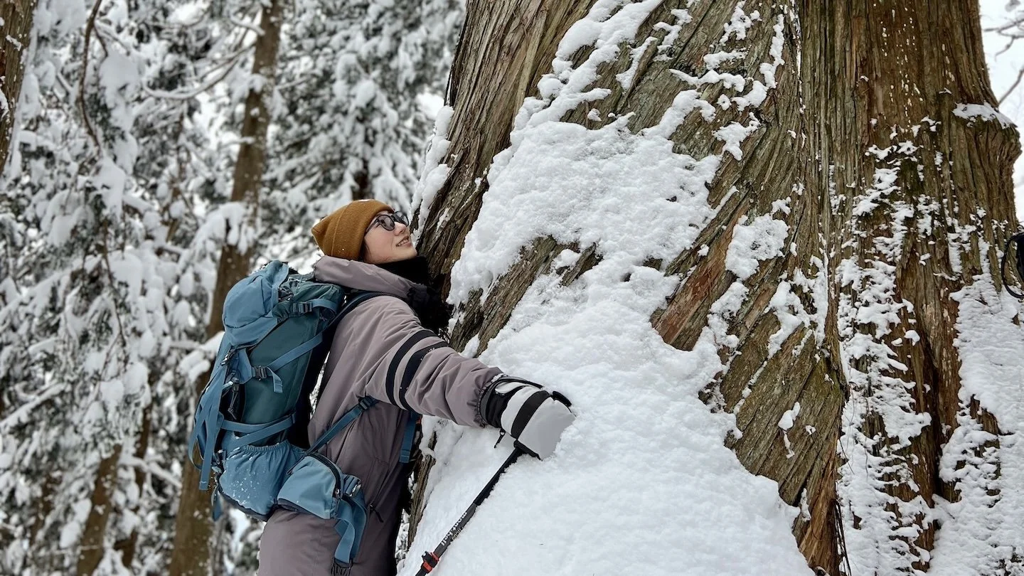 c7713087-275c-4dbc-be23-35ab6b15fd26 (1).jpg