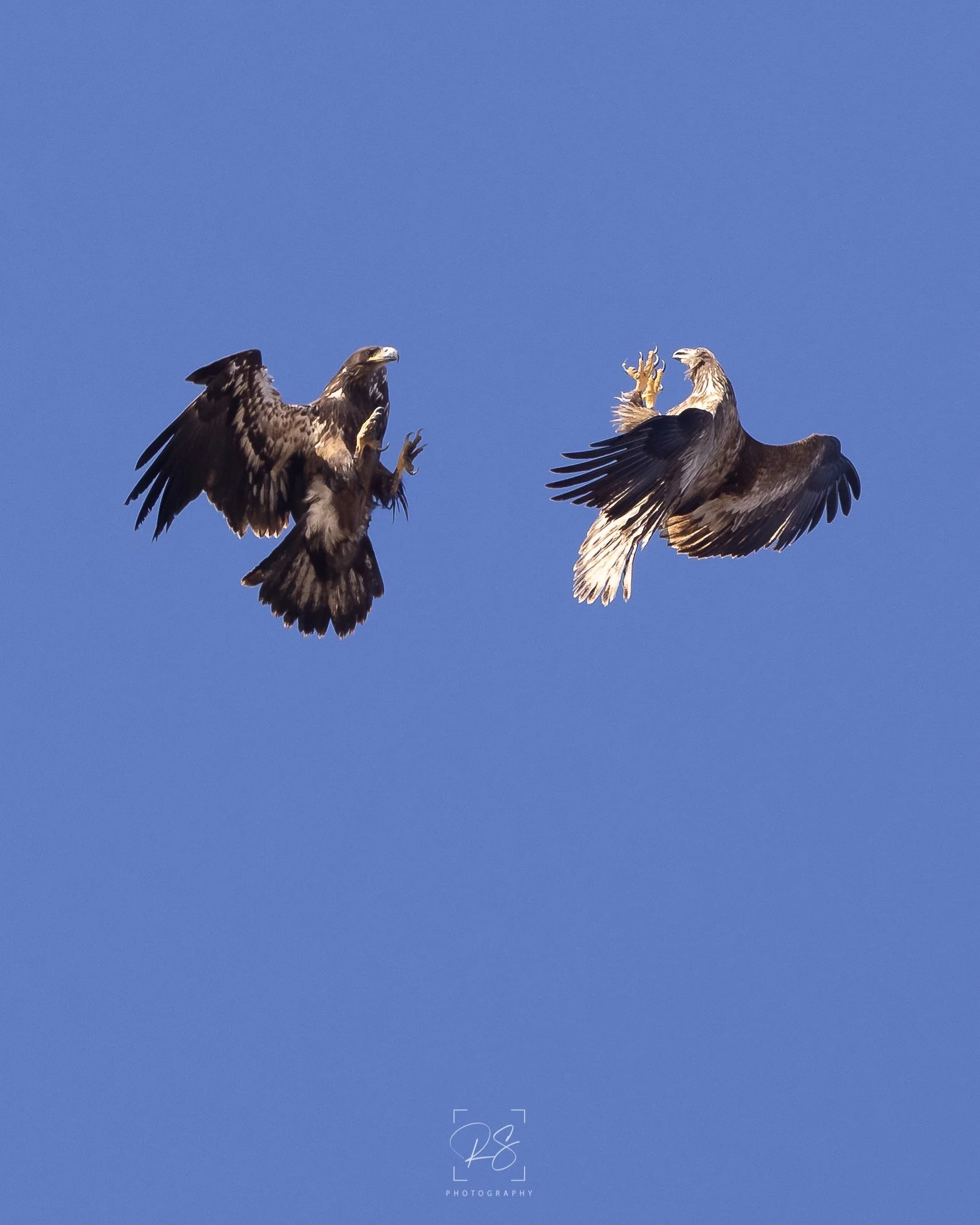 Incoming.jpg