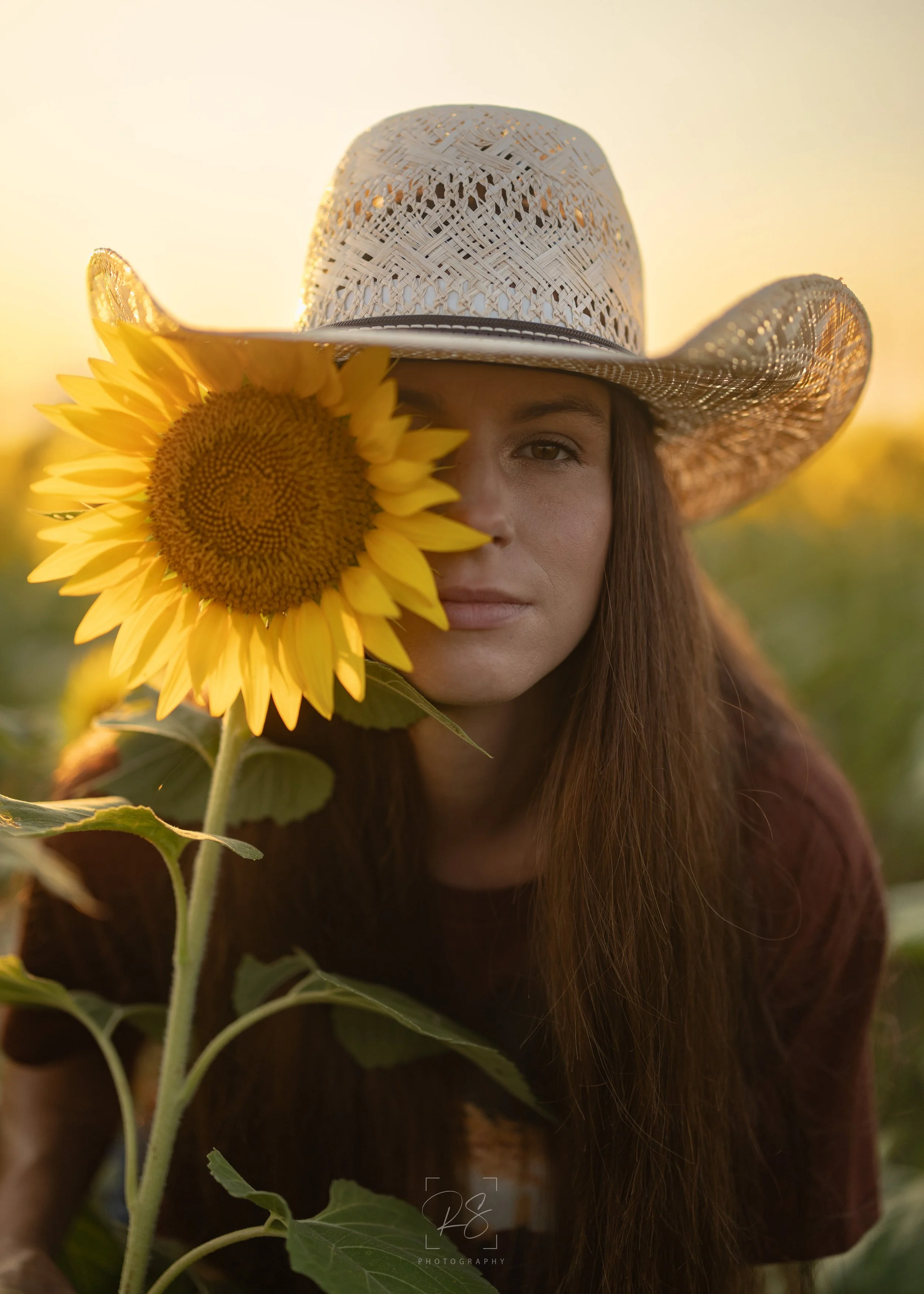 Sunflowers-27.jpg