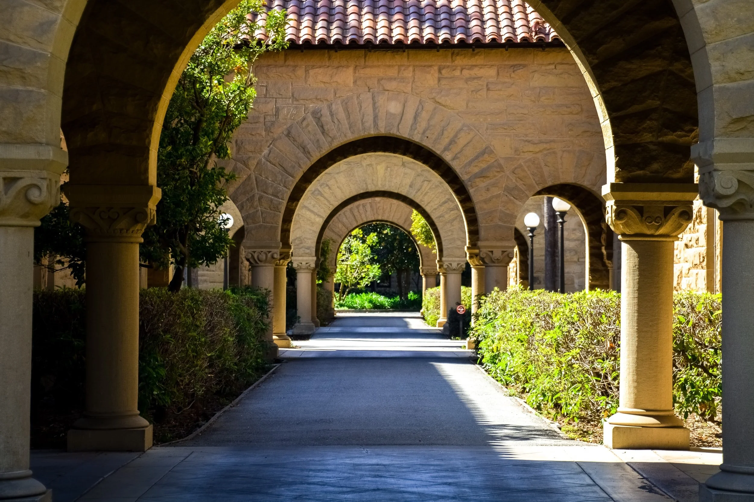 21 Best Degrees To Get In 2022 | Cost, Marketability, Salary
