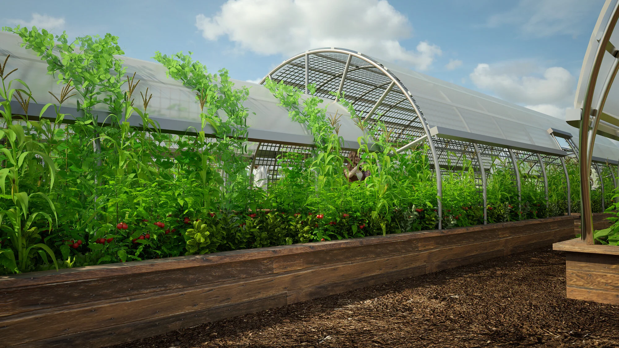 Building a Waste Plant