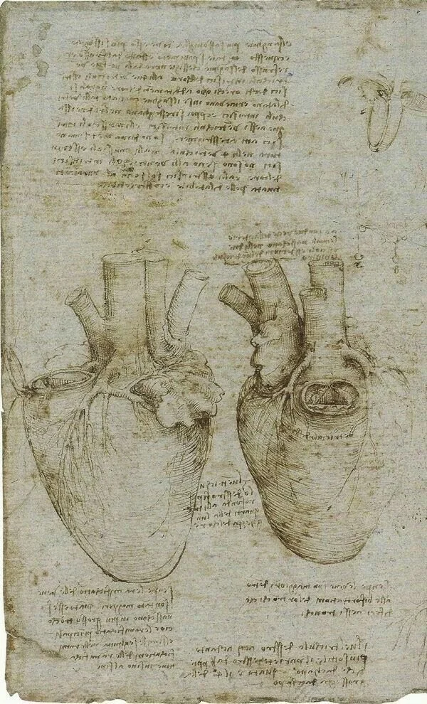 The Energetics of Comparison 