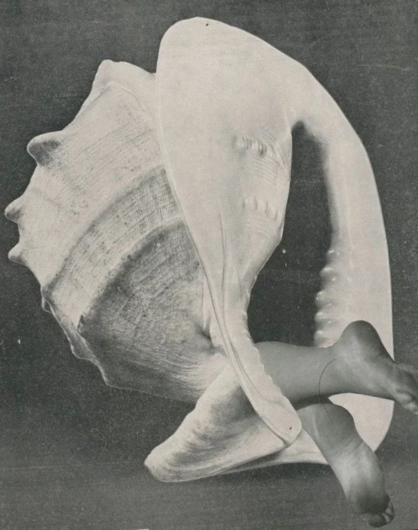 The Sonic Architecture of the Self