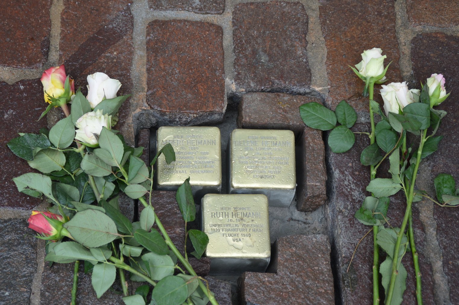 2023-11 Stolperstein-Albert Helene Ruth Heimann Foto Alisa Wittstadt.JPG