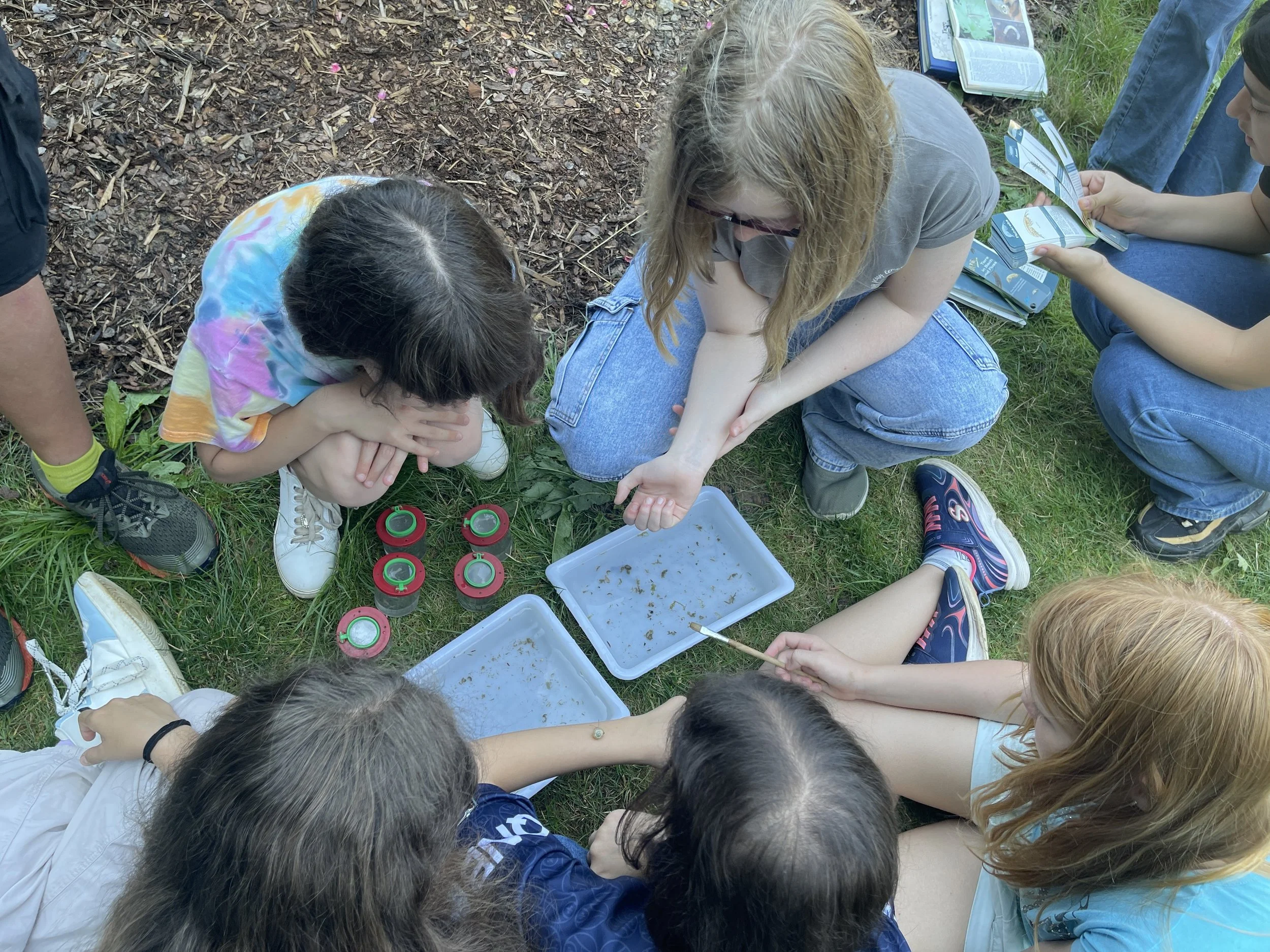 Mittelschüler untersuchten Gewässer