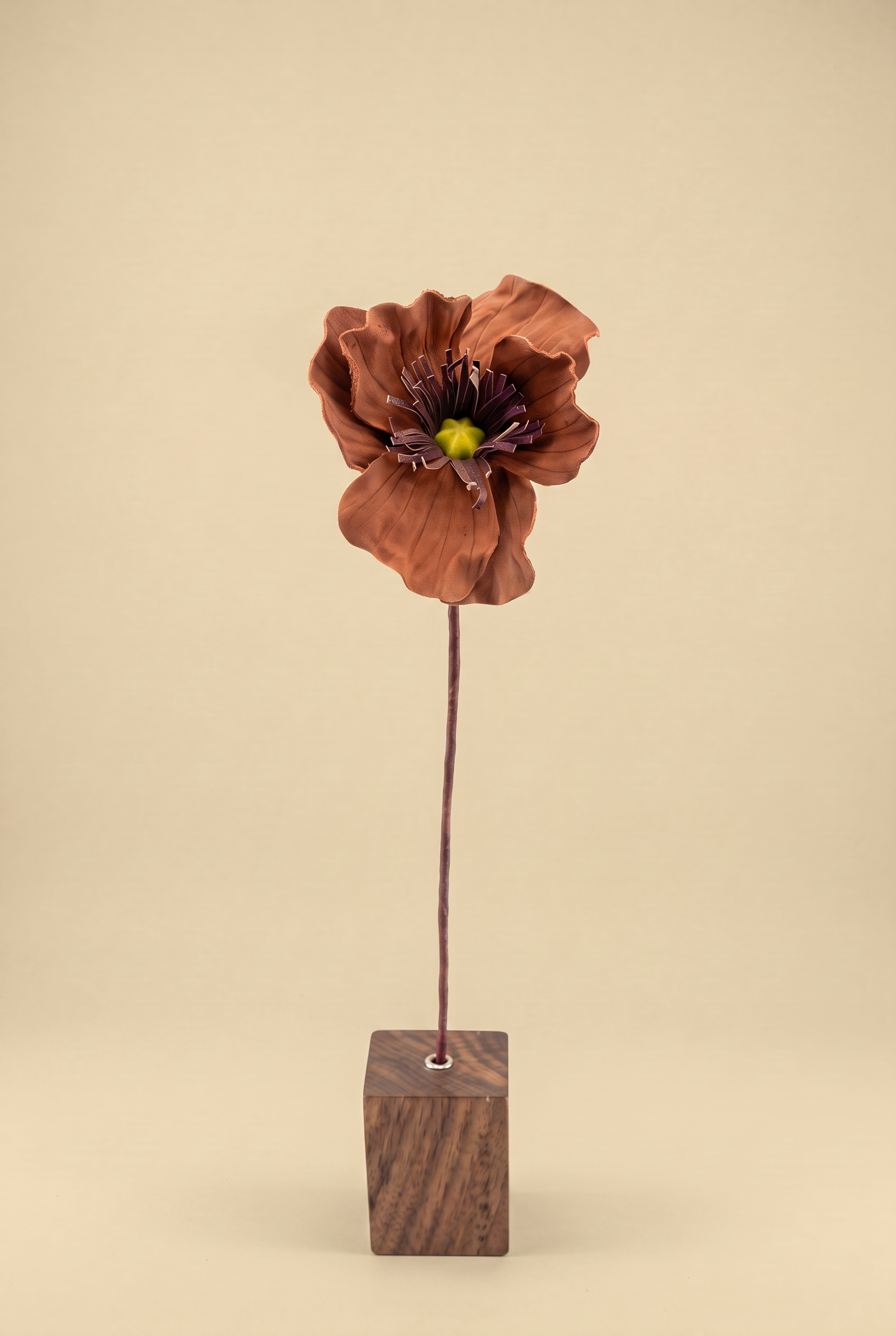 Anemone front .png