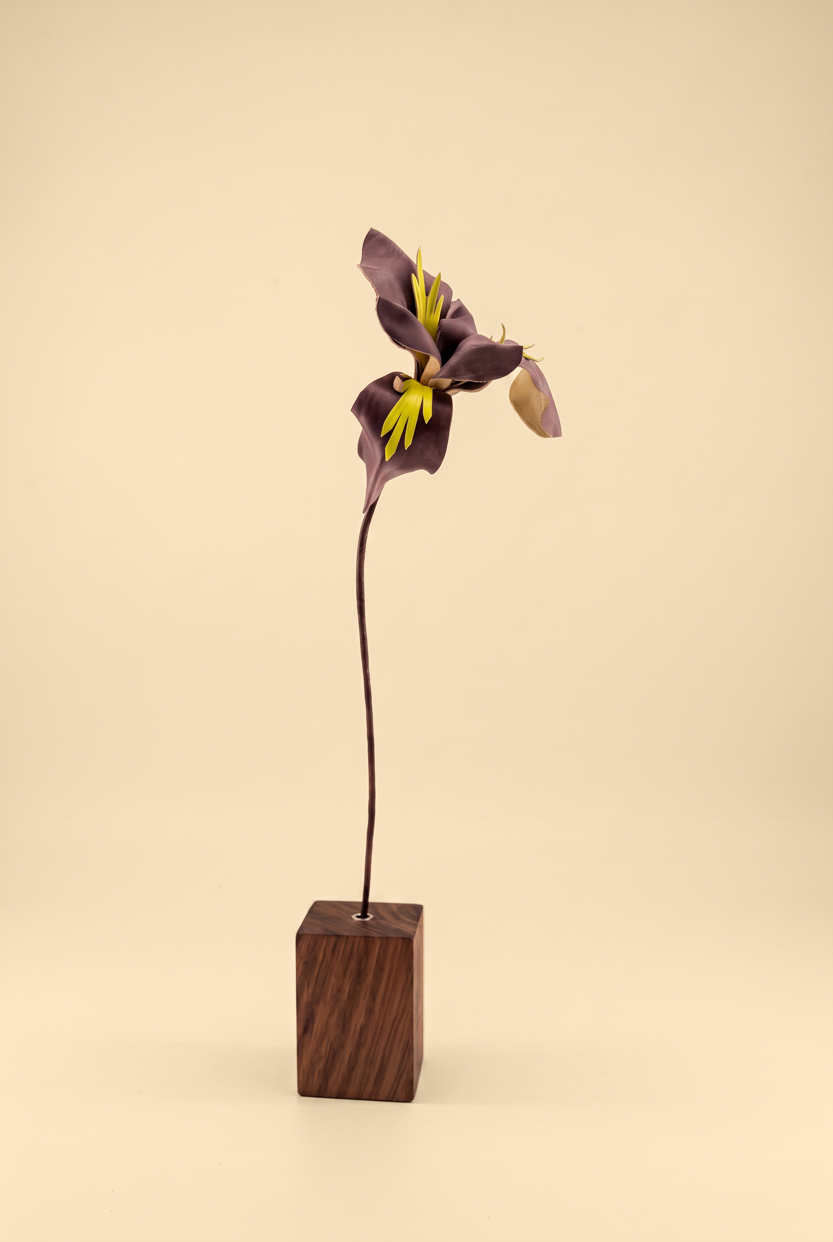 Iris - Leather Flowers