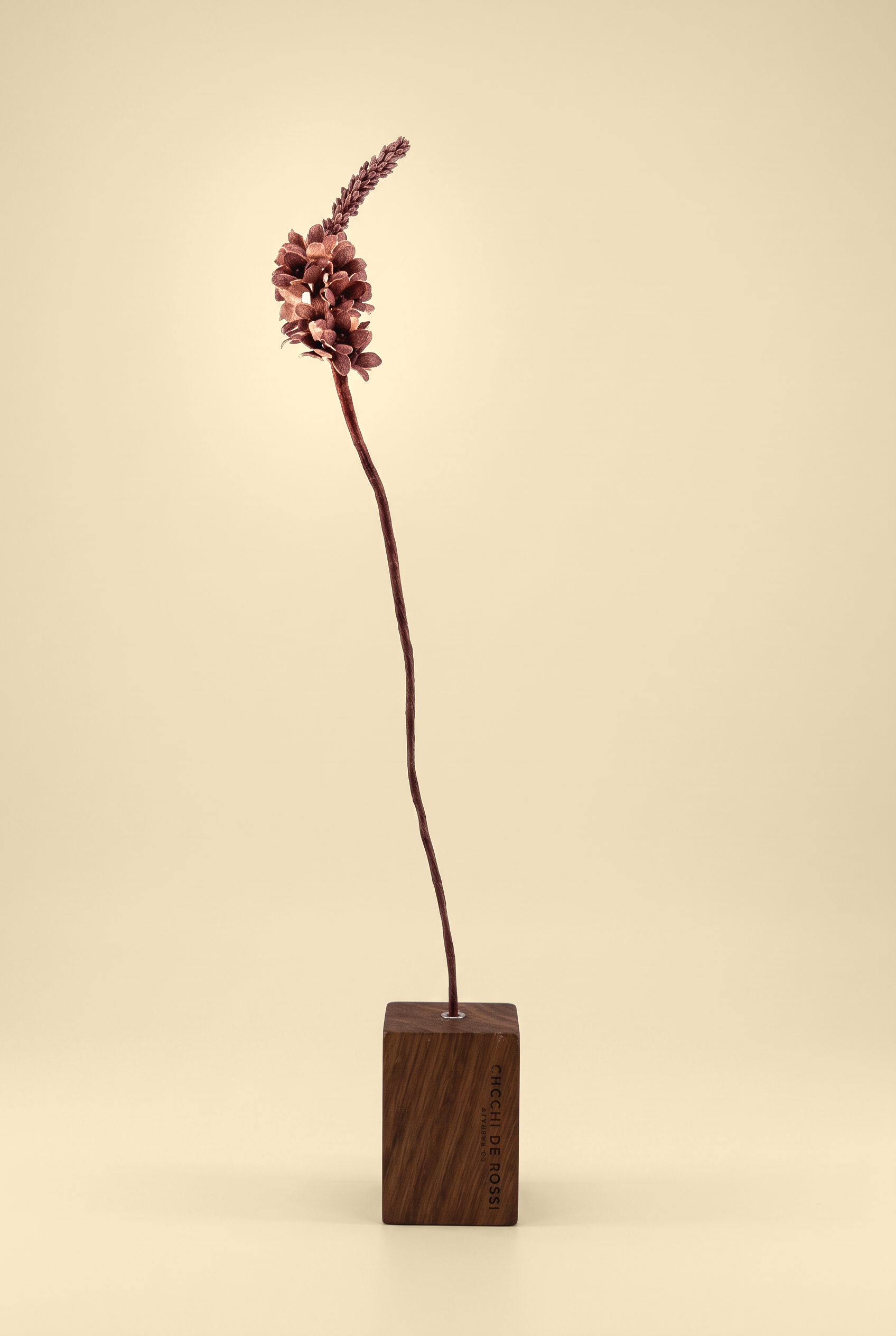 glicine+rosa.png