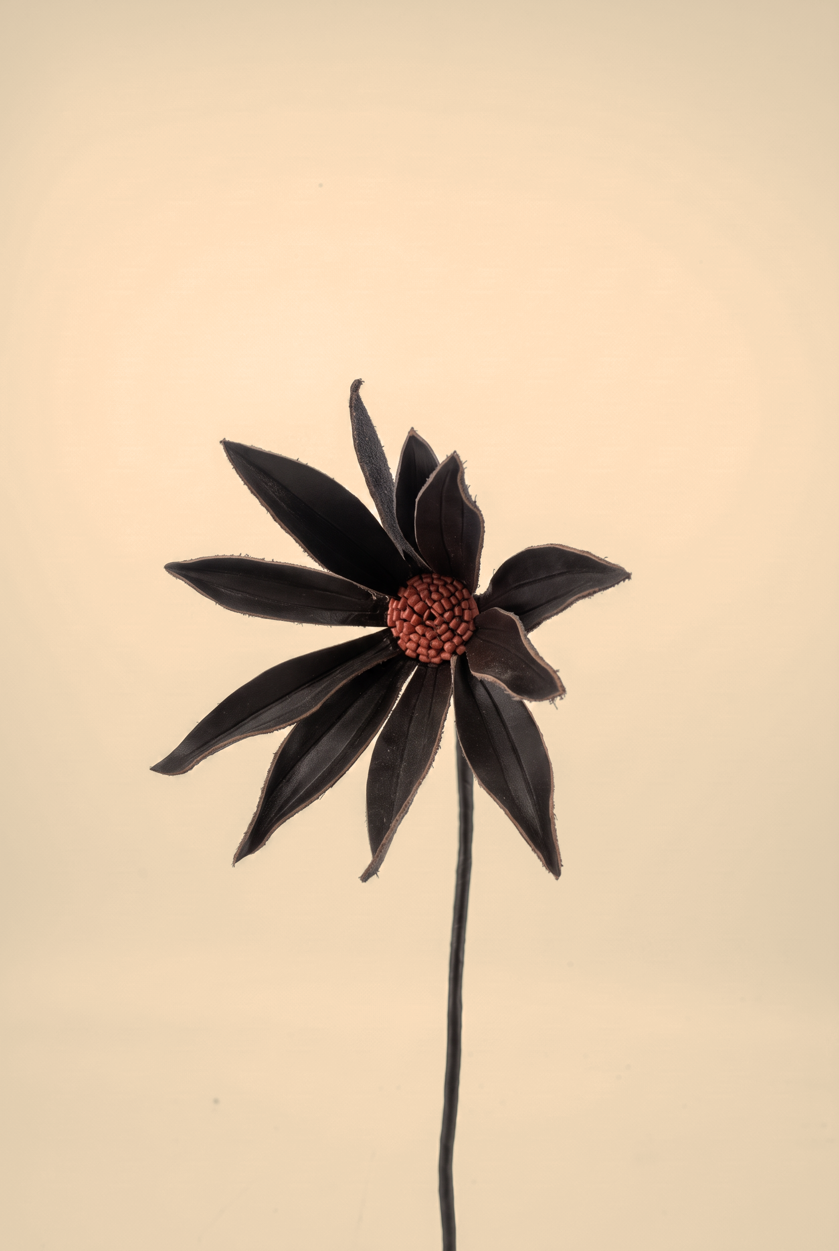 margherita black dett..png