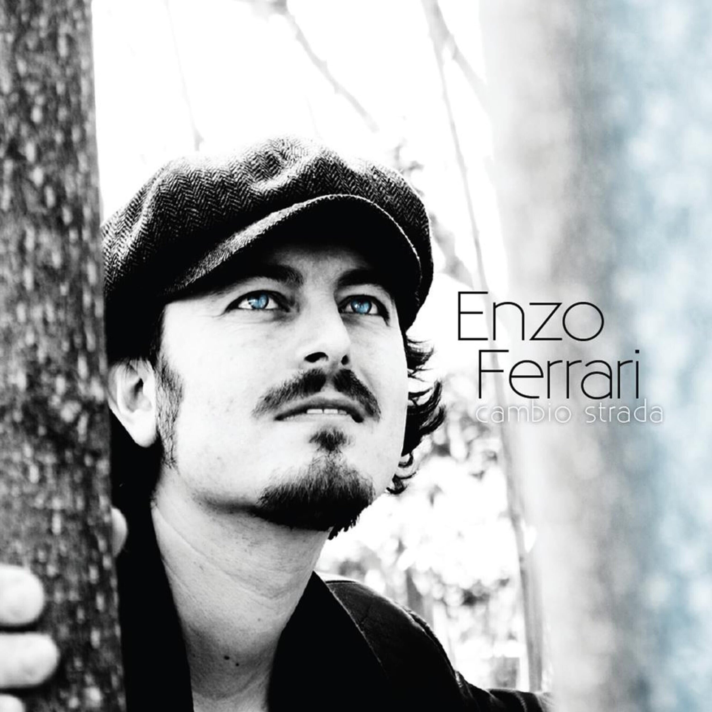 Enzo Ferrari - Cambio Strada