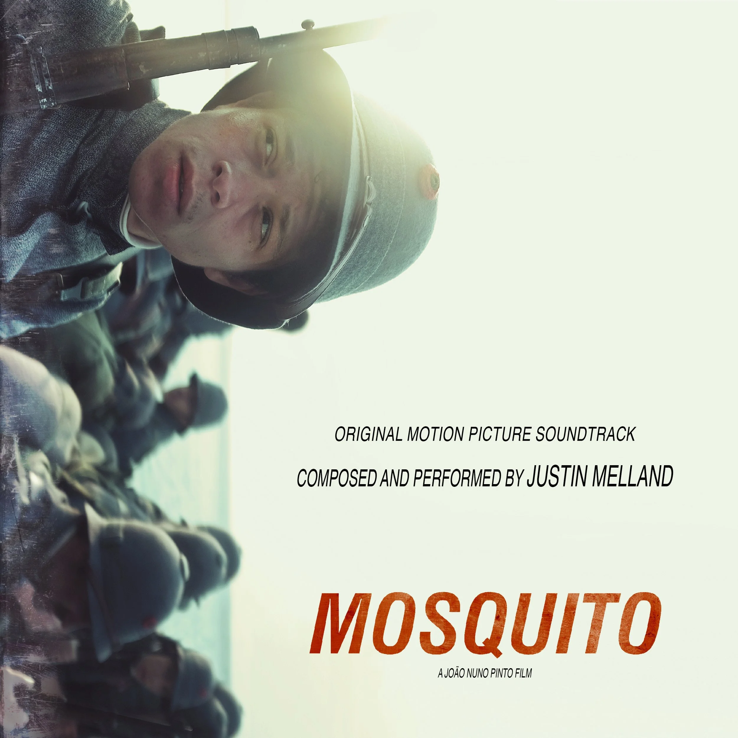 3000 mosquito.jpg