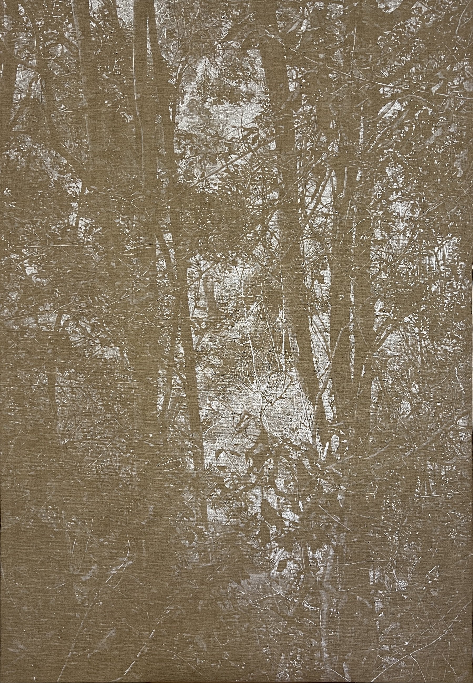 Peter Eastman