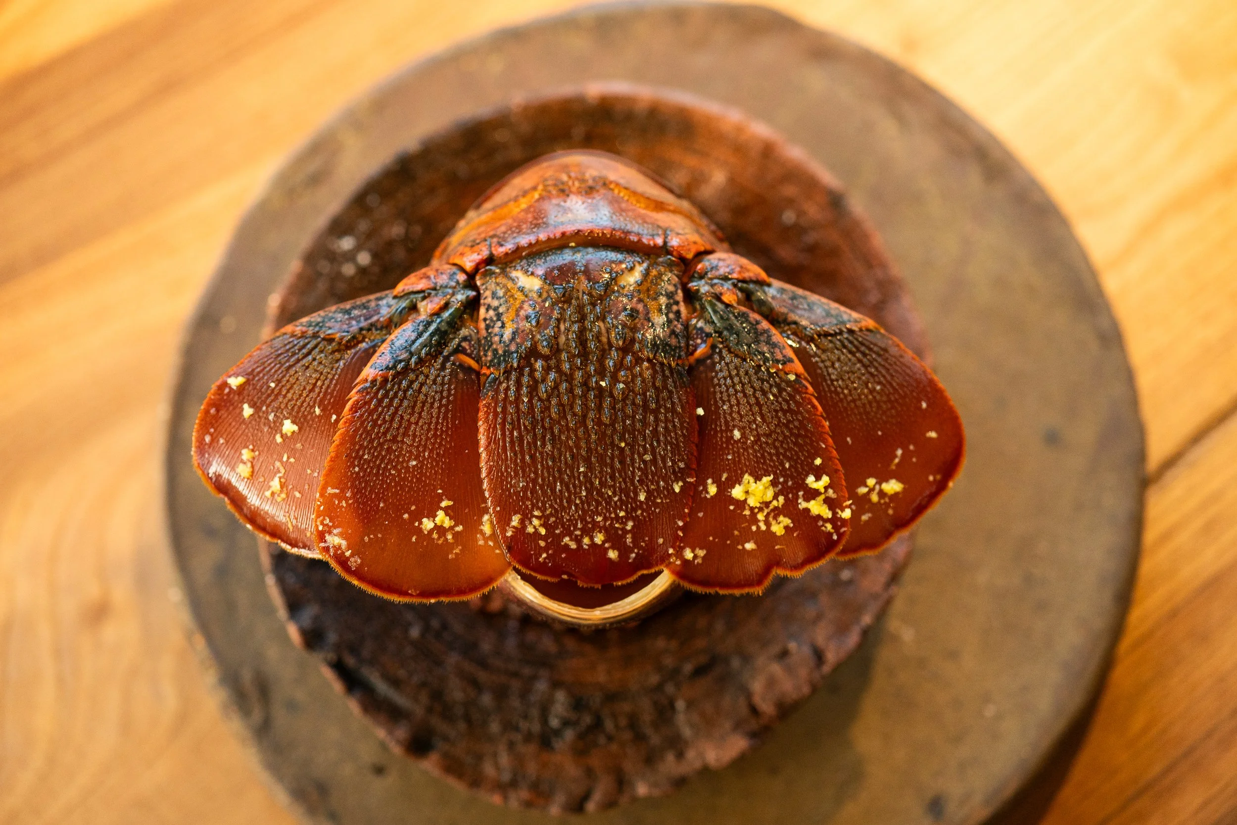 SP6_3556.jpg