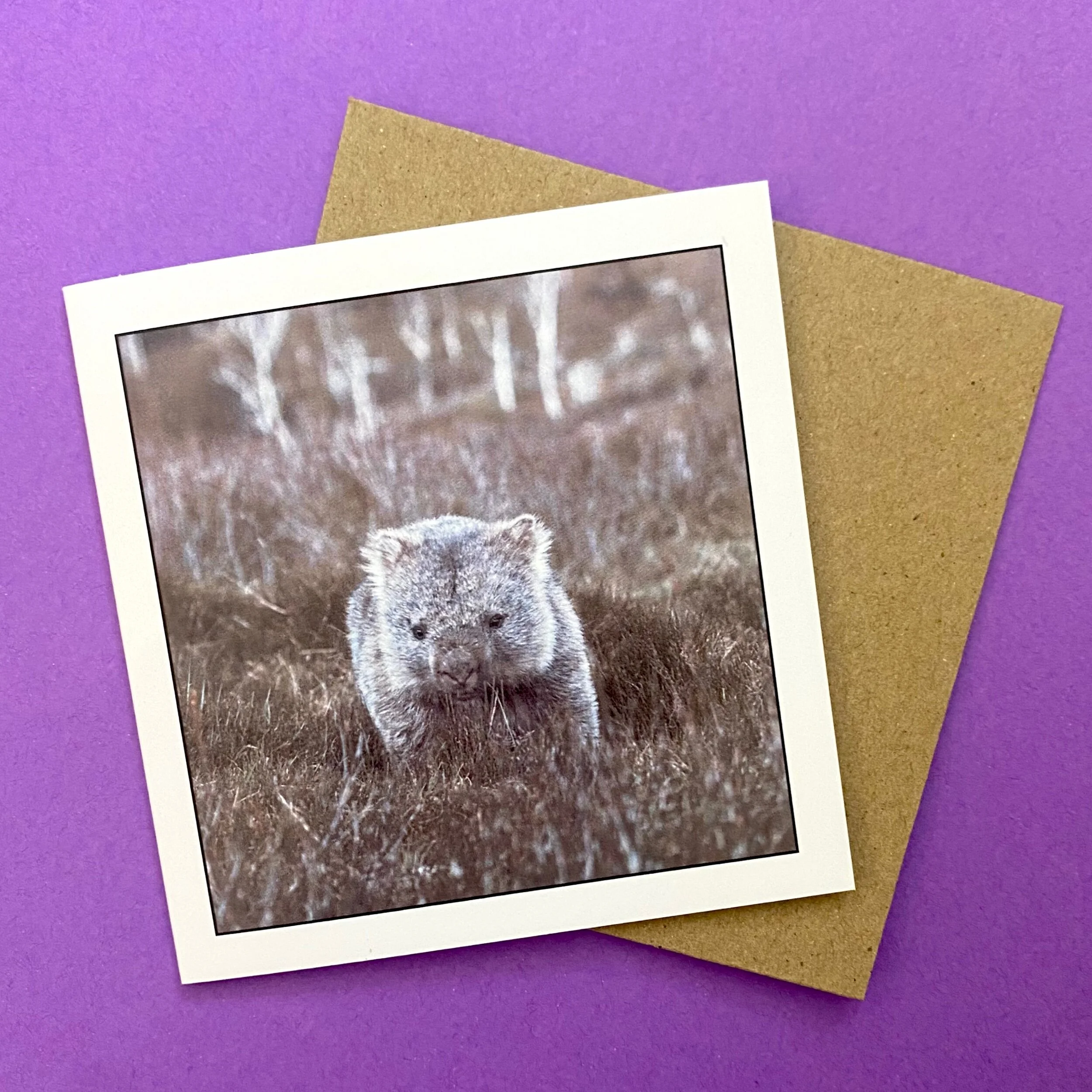 73908CEB-3E71-42D6-B4B3-A43DF9A0143A