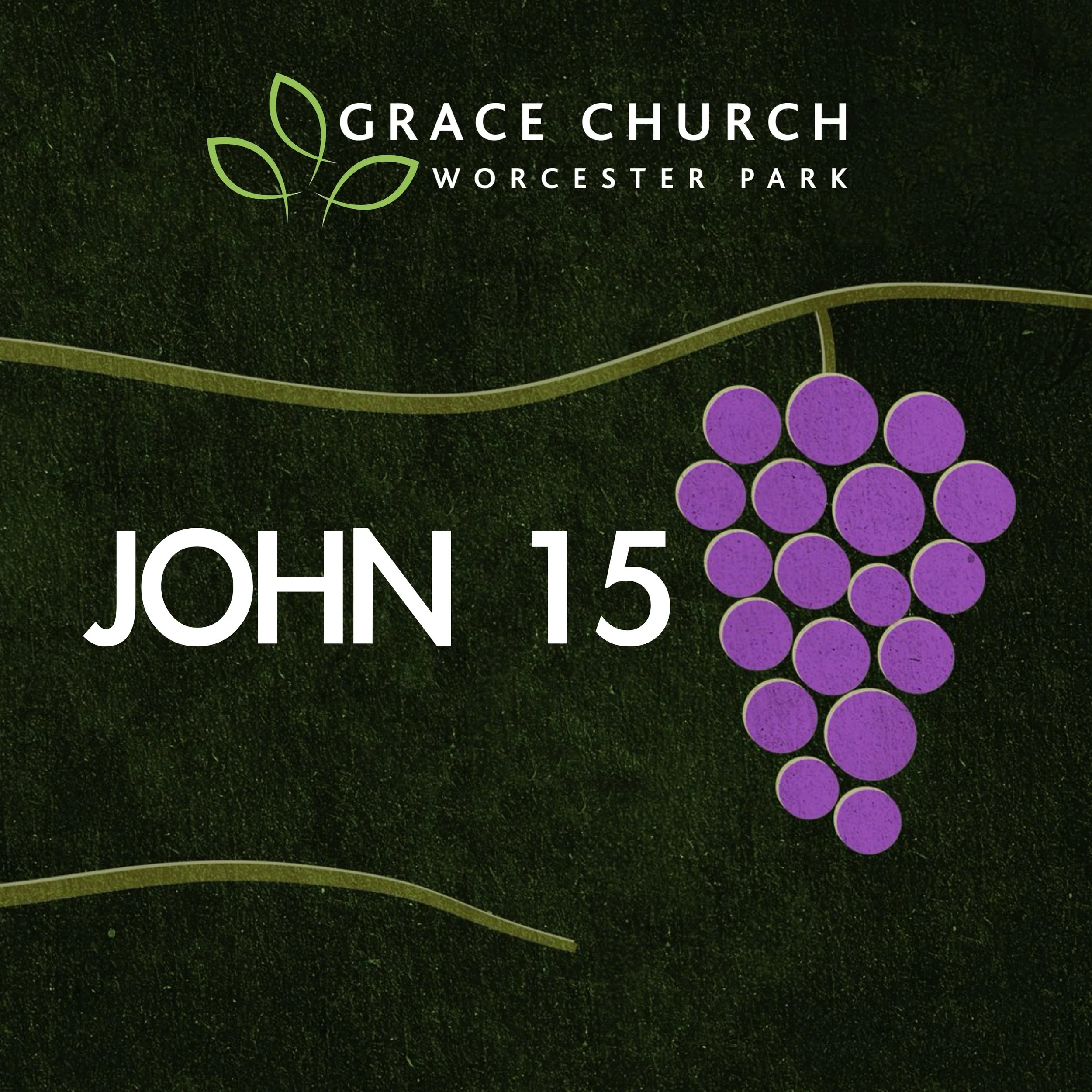 John 15:1-17 - Remain in Jesus to bear fruit and glorify the Father