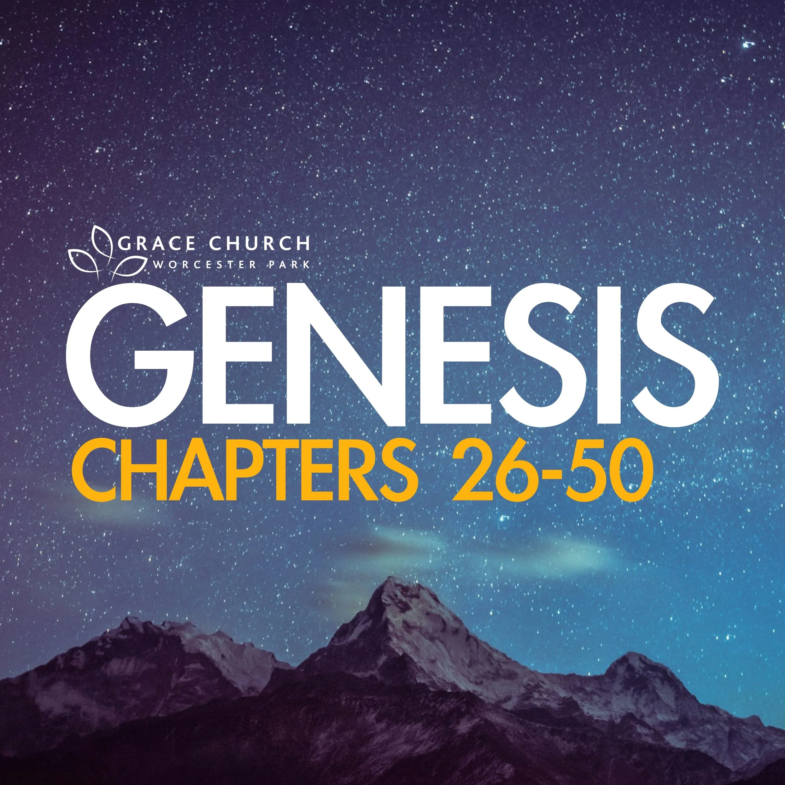 Genesis 1-25 Recap - Chosen Before They Could Choose