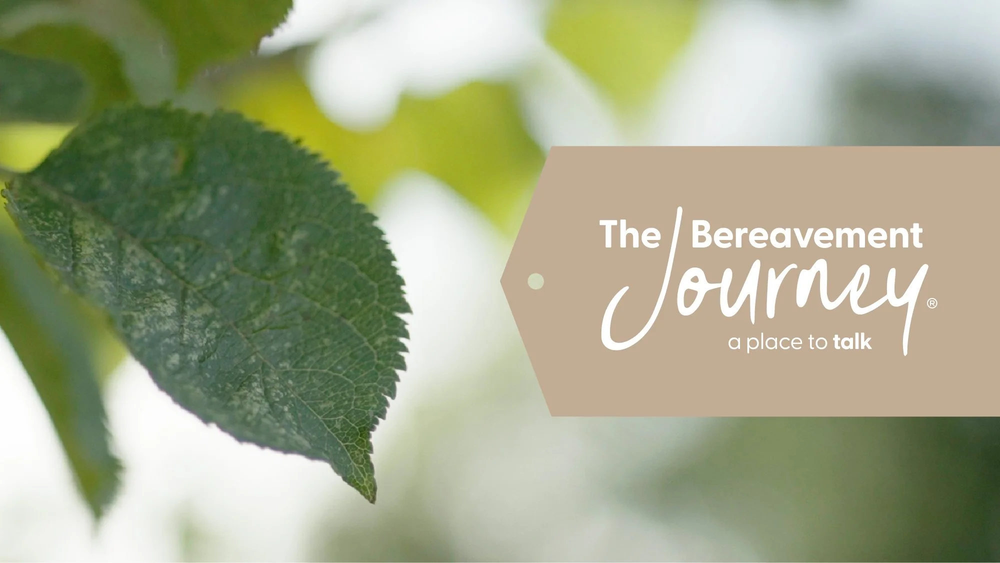 Bereavement Journey.jpg