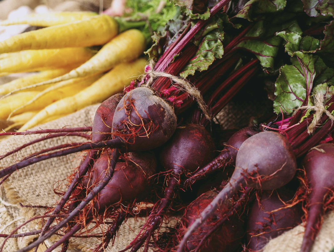 Beet & Citrus Salad: A Symphony of Seasonal Flavors for Your Body and Soul