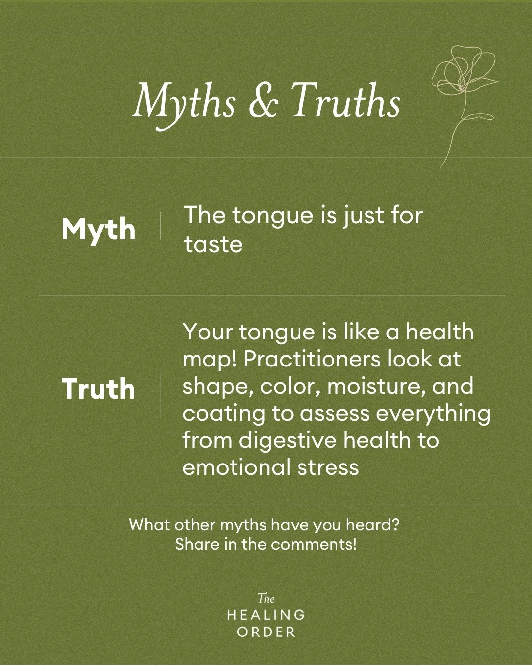 👅Practitioners look at your tongues color, shape, coating, and moisture for clues:
&ndash; Pale = possible Qi or blood deficiency
&ndash; Red/yellow coating = signs of heat or inflammation
&ndash; Cracks or scalloped edges = digestive weakness or da